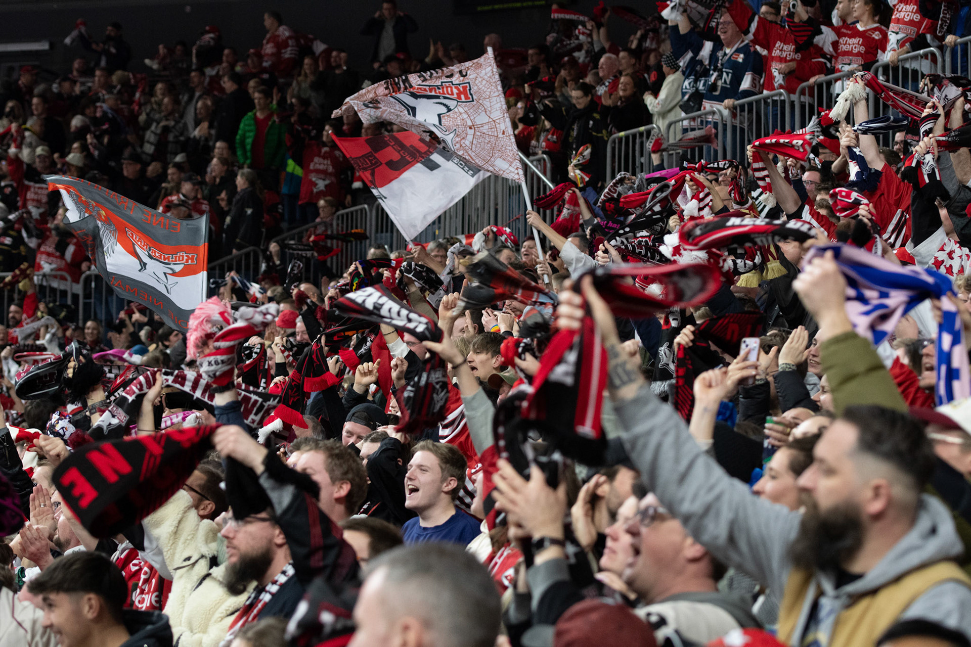 Die Fans beim Torjubel; DEL Kölner Haie - Fishtown Pinguins Bremerhaven, 30.01.2024