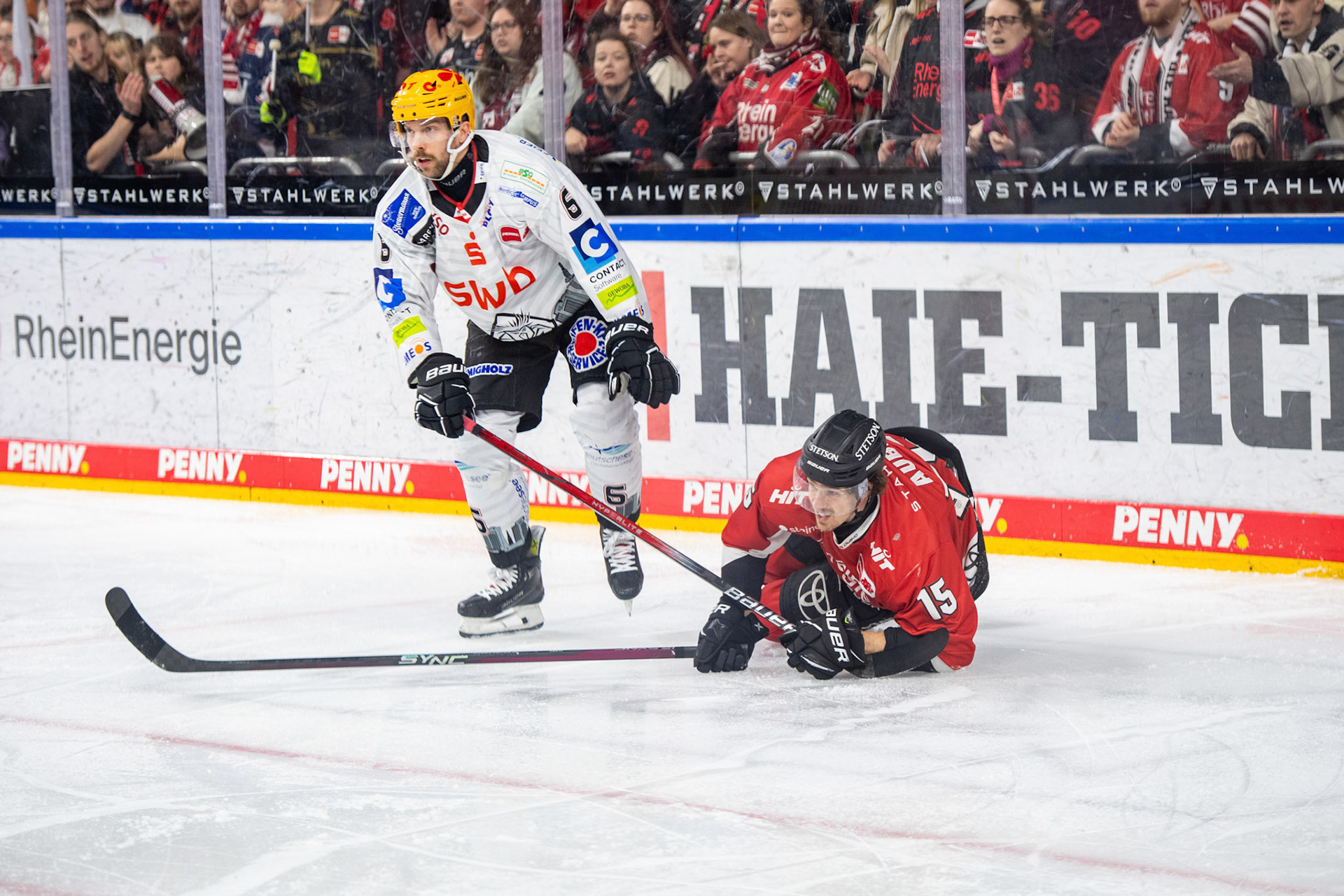 Louis Marc Aubry, Anders Groenlund; DEL Kölner Haie - Fishtown Pinguins Bremerhaven, 30.01.2024