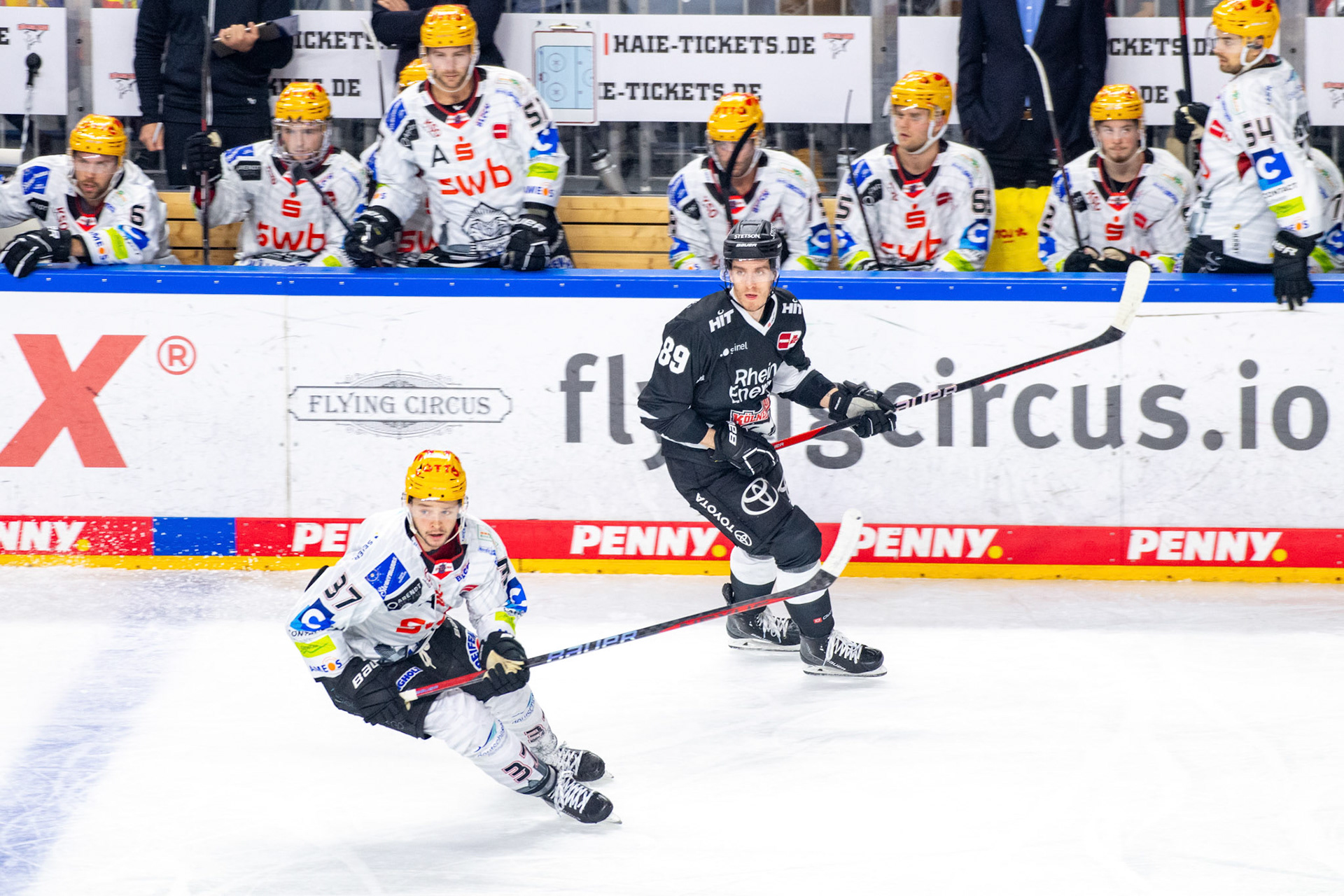 Gregor Macleod; DEL Kölner Haie - Bremerhaven Fischtown Pinguins, 01.11.2023
