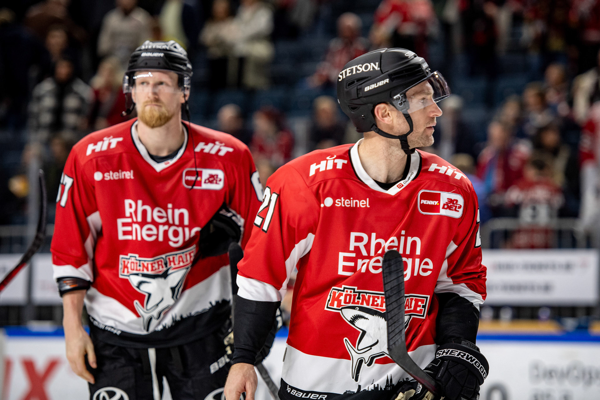 Marc Olver und Brady Austin; DEL Kölner Haie - EHC Red Bull München, 27.10.2023