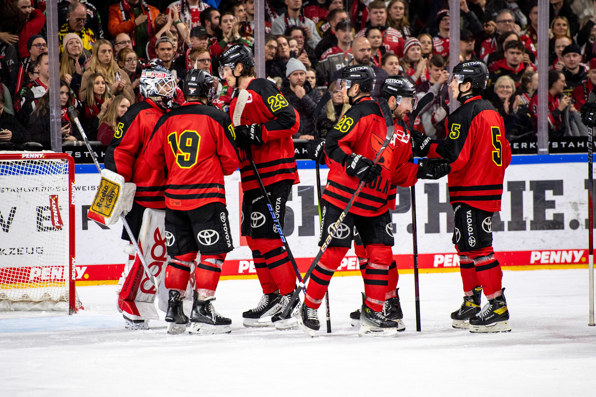 Koelner Haie; DEL Kölner Haie - Nürnberg Ice Tigers, 17.12.2023