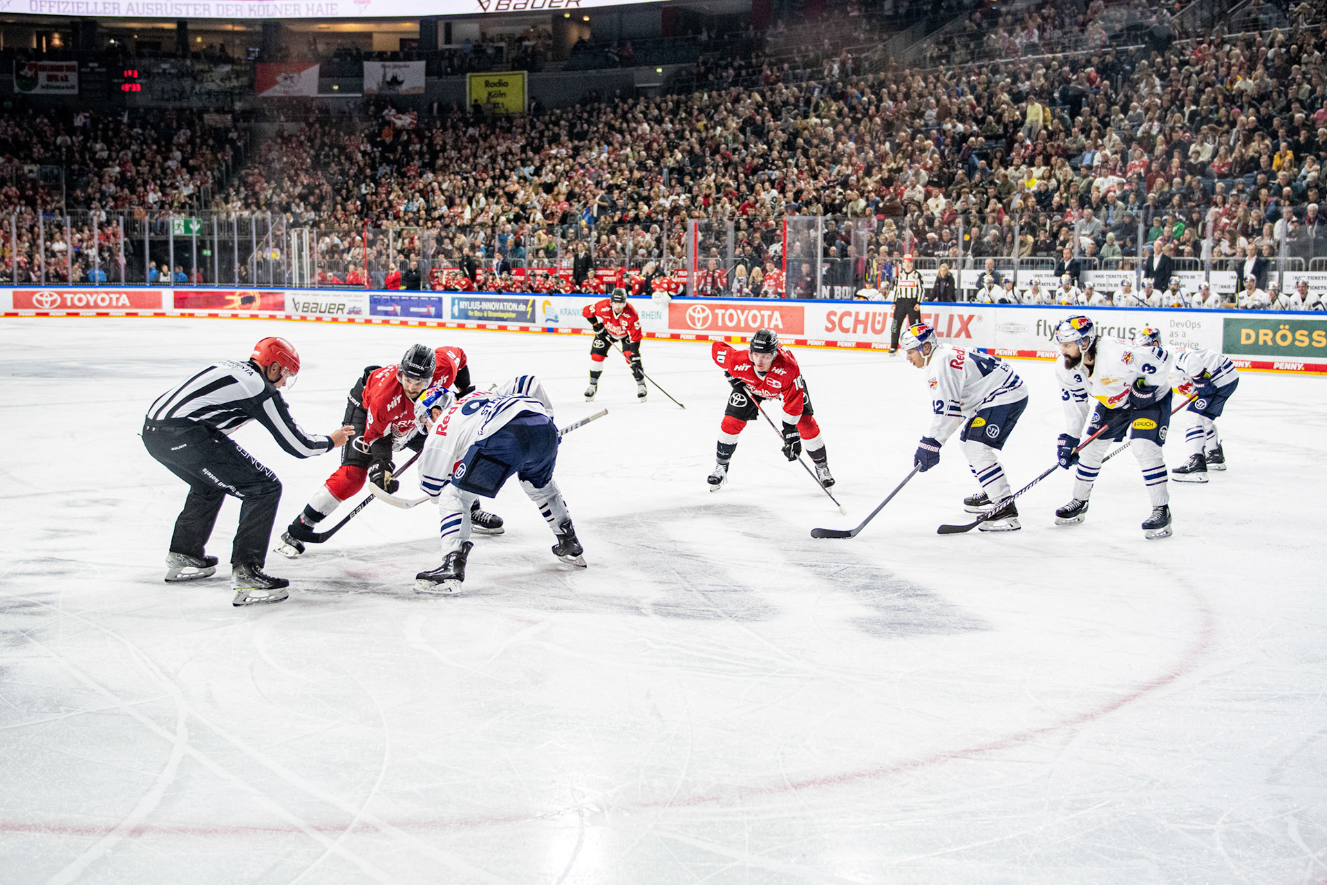 Koelner Haie ; DEL Kölner Haie - EHC Red Bull München, 27.10.2023