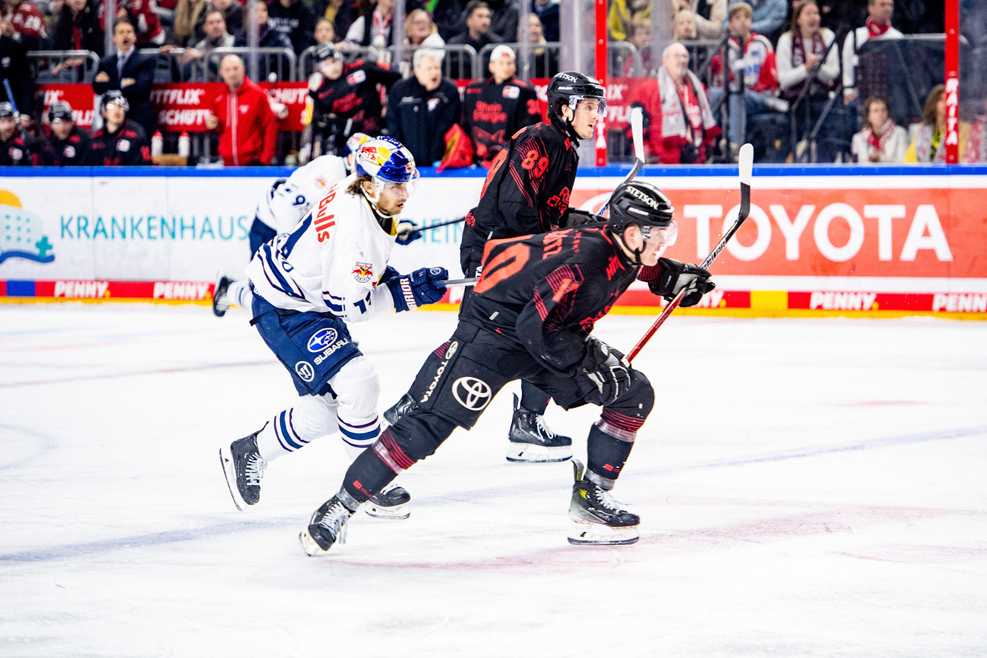 Justin Schuetz, Gregor Macleod; DEL Kölner Haie - EHC Red Bull München, 05.01.2024