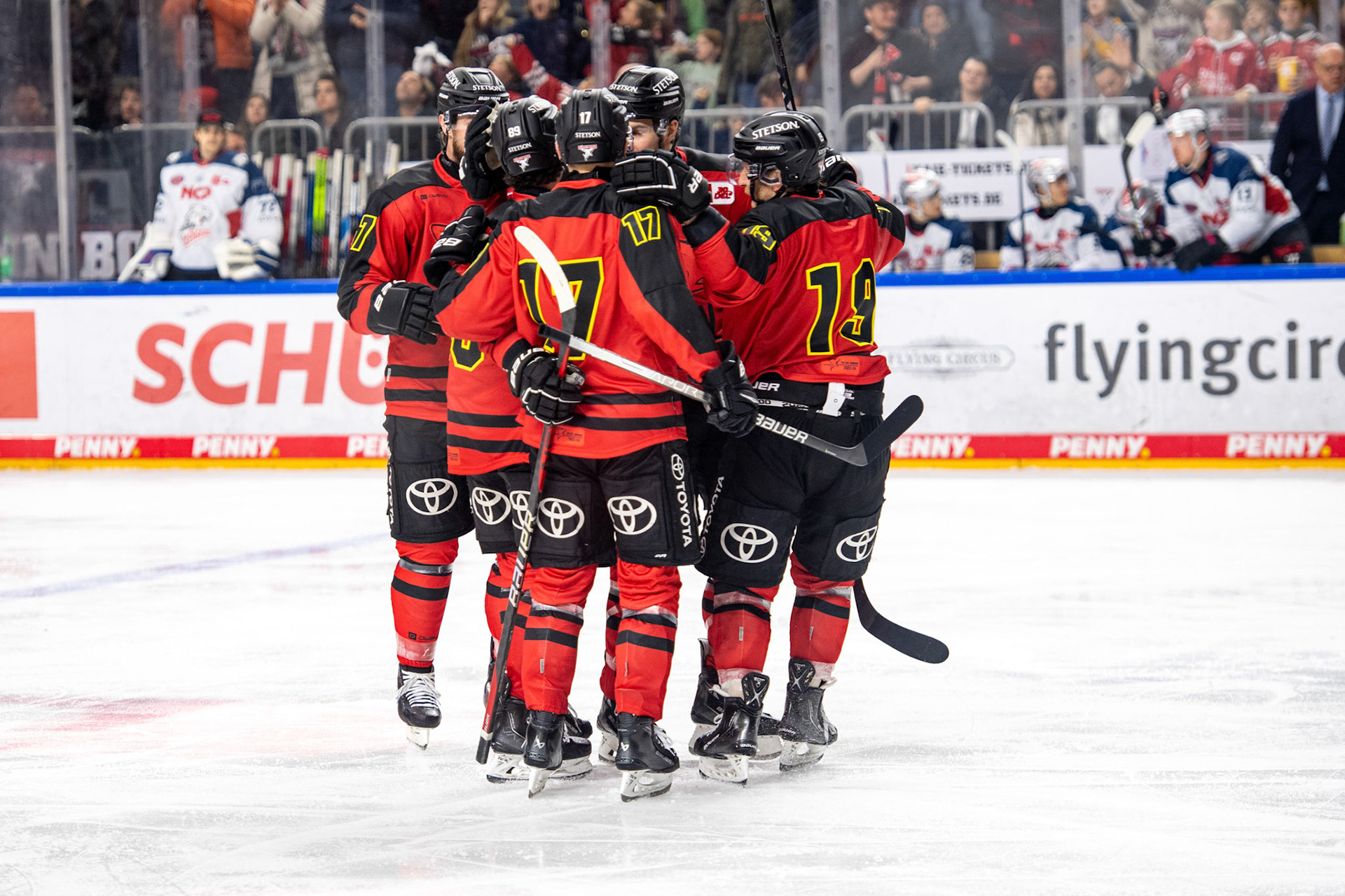 Koelner Haie beim Torjubel; DEL Kölner Haie - Nürnberg Ice Tigers, 17.12.2023