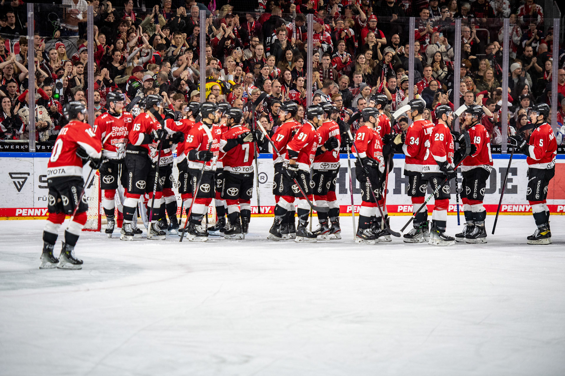 Koelner Haie; DEL Kölner Haie - Augsburger Panther, 19.11.2023
