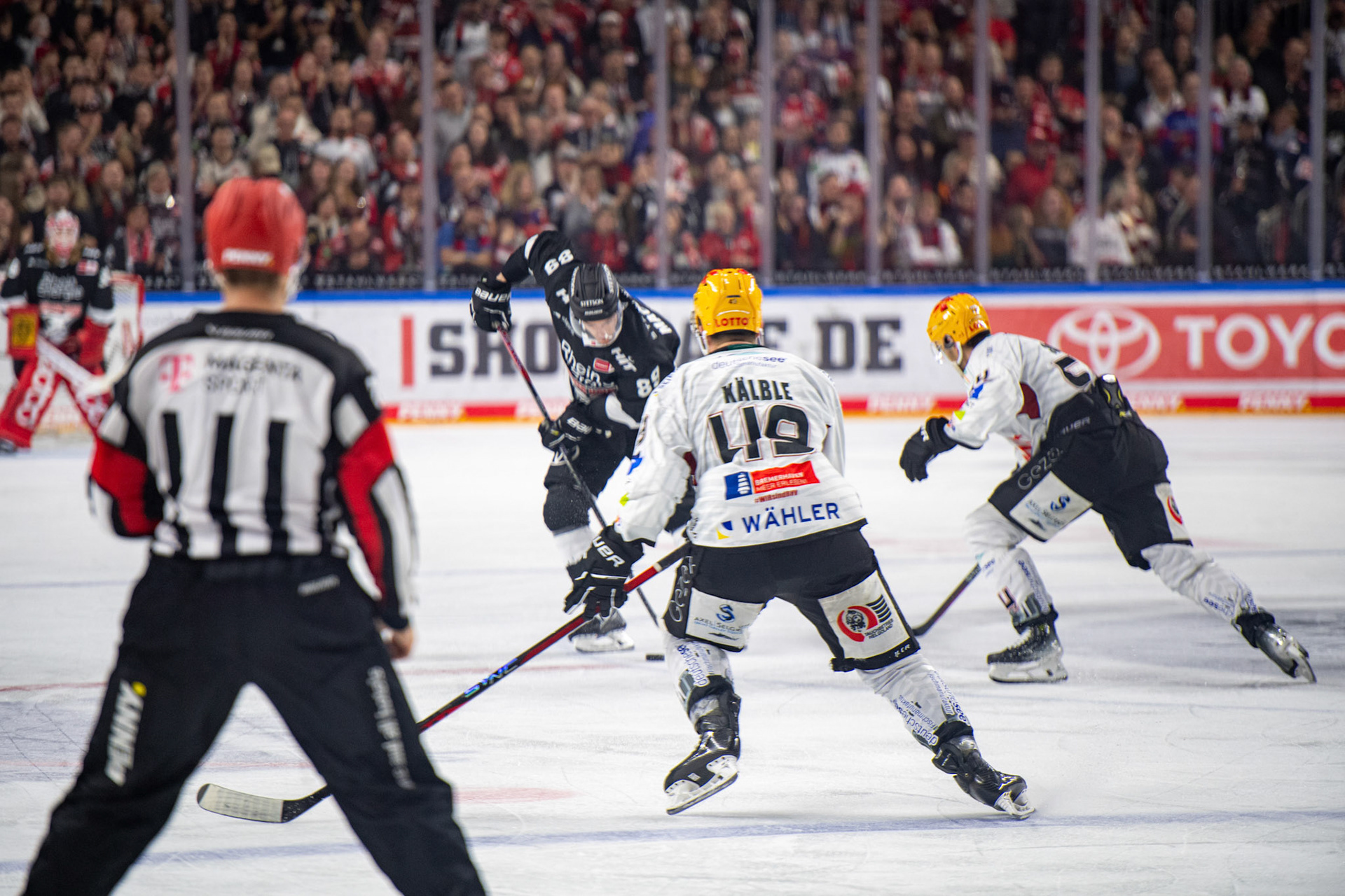 Gregor Macleod; DEL Kölner Haie - Bremerhaven Fischtown Pinguins, 01.11.2023