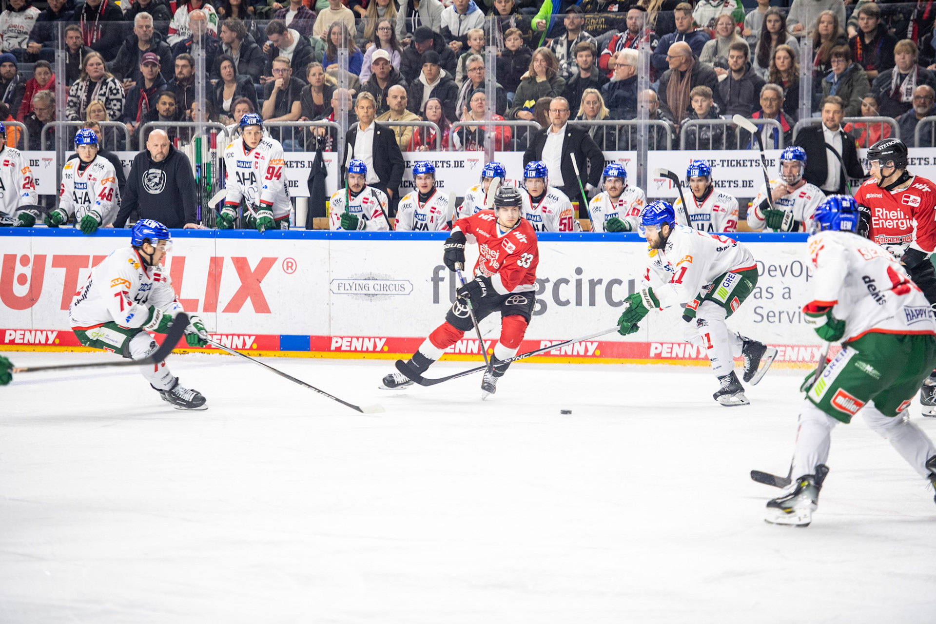 Tim Wohlgemuth; DEL Kölner Haie - Augsburger Panther, 19.11.2023