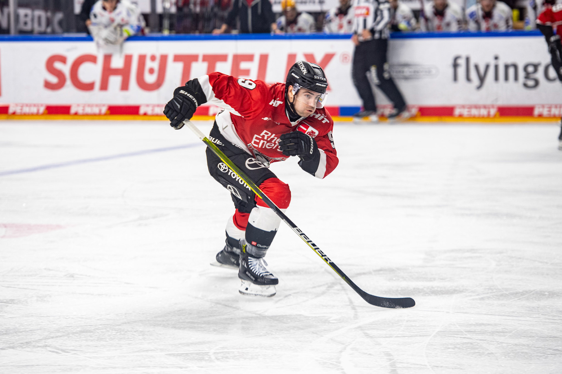 Maximilian Kammerer; DEL Kölner Haie - Fishtown Pinguins Bremerhaven, 30.01.2024