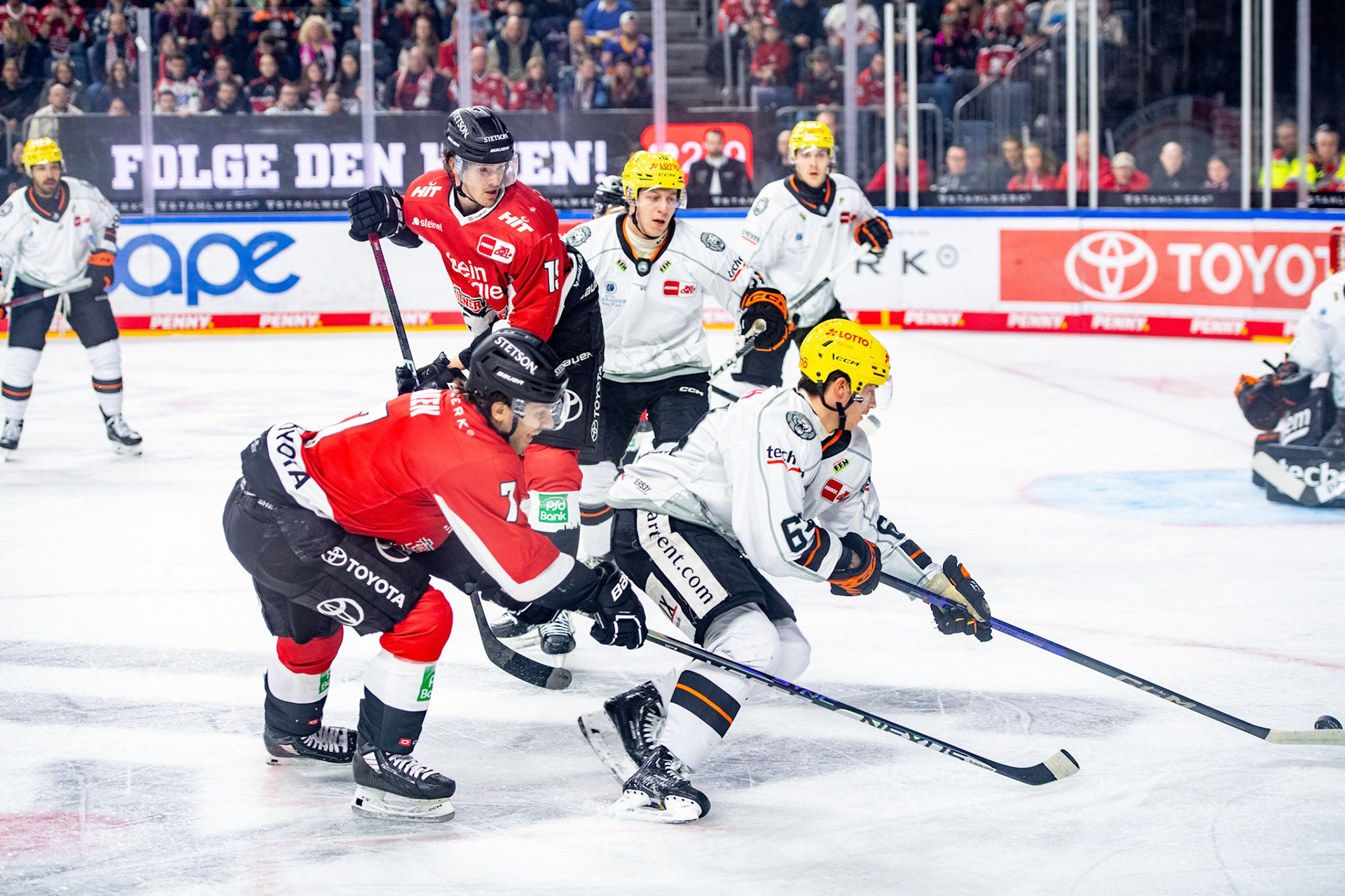 Frederik Storm, Nicholas Bailen, Markus Schweiger; DEL Kölner Haie - Frankfurter Löwen, 16.02.2024