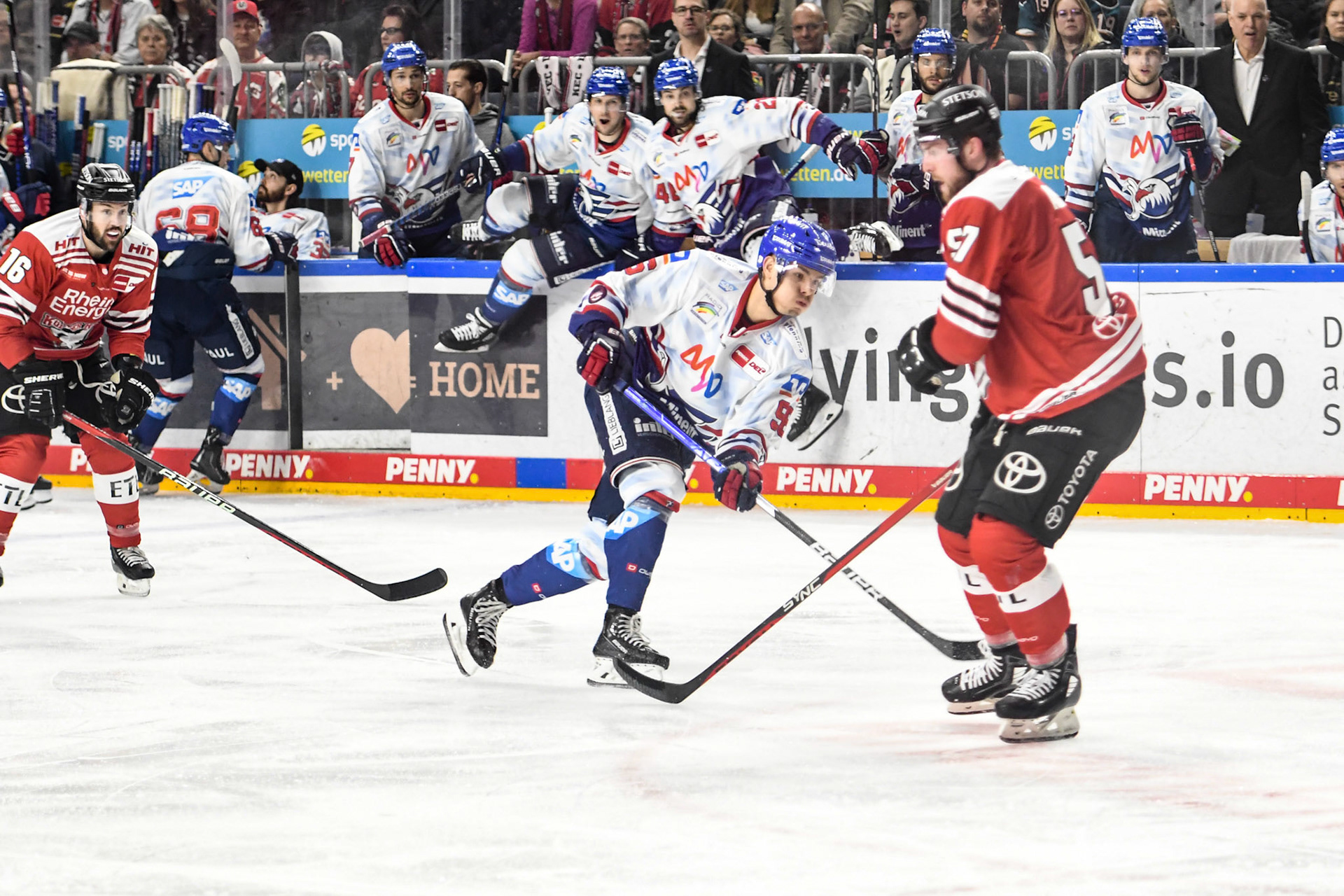 Simon Thiel; DEL Kölner Haie - Adler Mannheim, 17.03.2023