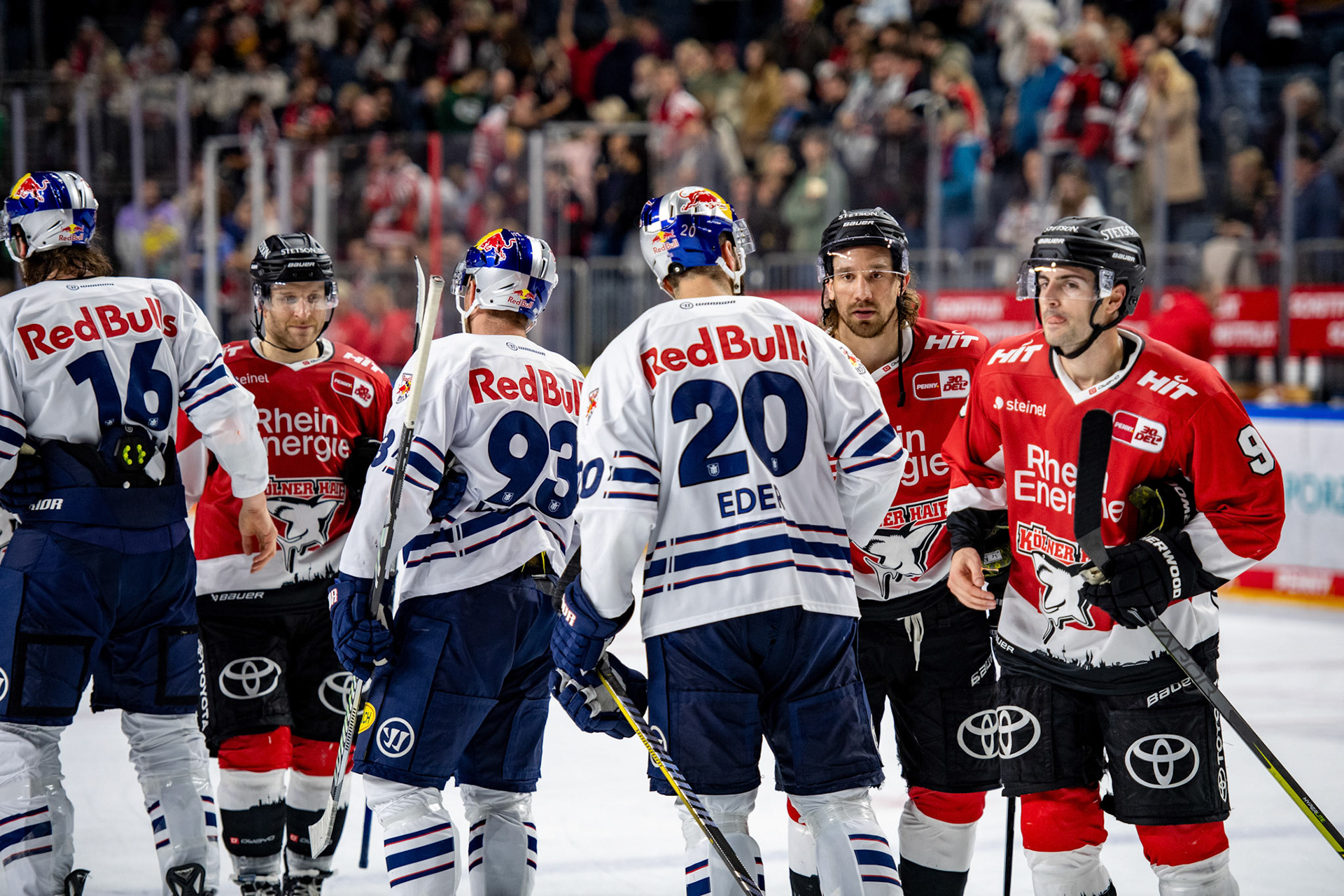 Die Kölner Haie gratulieren den Münchnern; DEL Kölner Haie - EHC Red Bull München, 27.10.2023