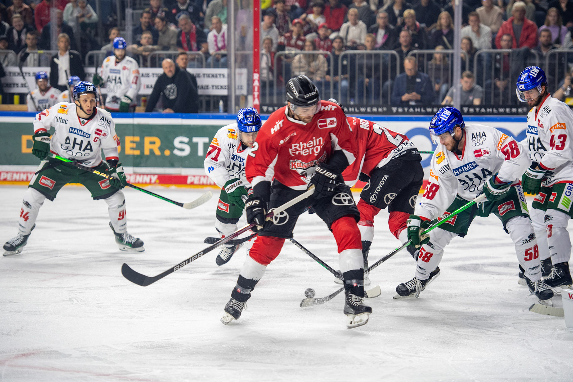 Alexandre Grenter; DEL Kölner Haie - Augsburger Panther, 03.10.2023