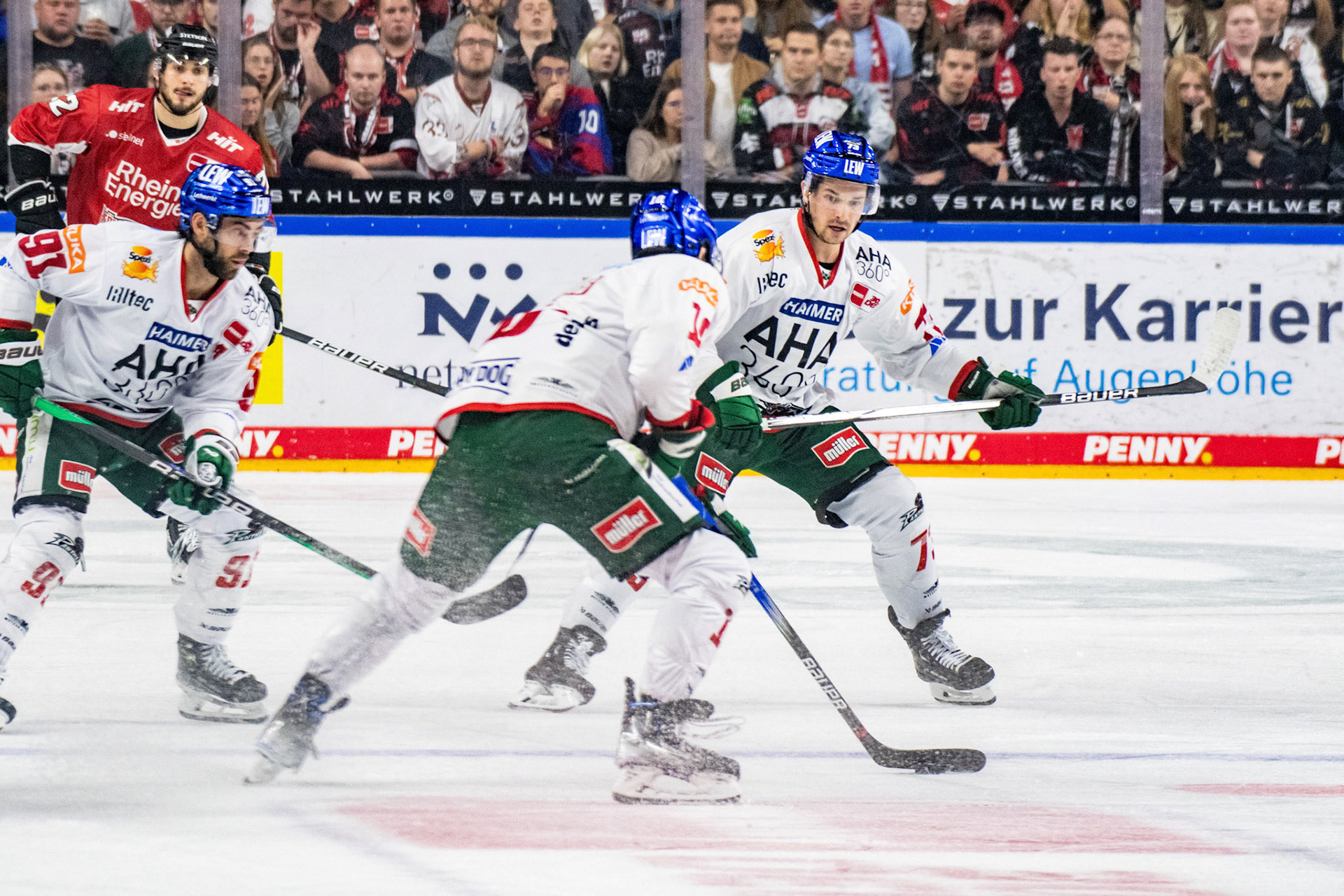 Augsburger Panther; DEL Kölner Haie - Augsburger Panther, 03.10.2023