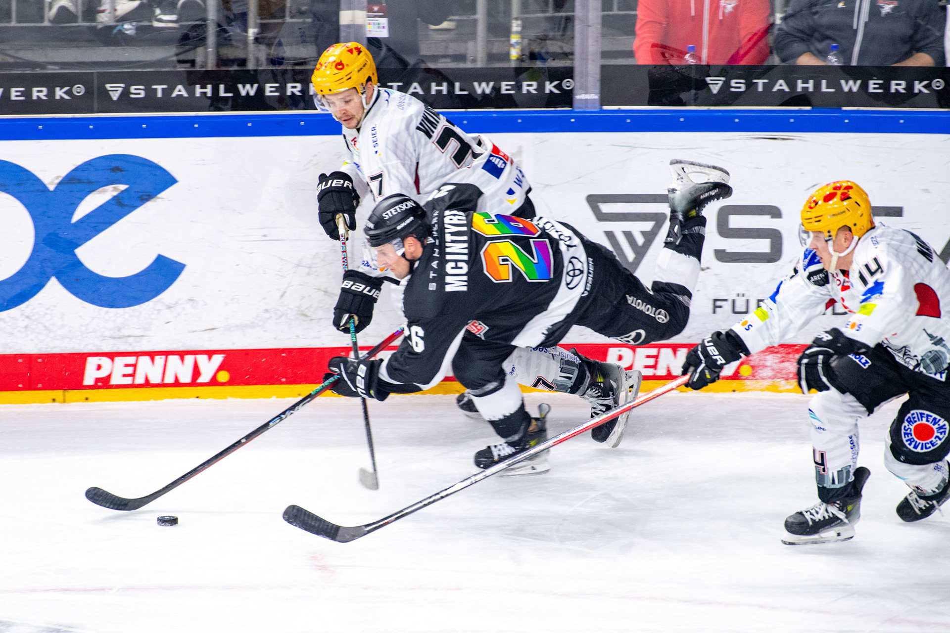 David Mcintyre im Zweikampf mit Markus Vikingstad; DEL Kölner Haie - Bremerhaven Fischtown Pinguins, 01.11.2023