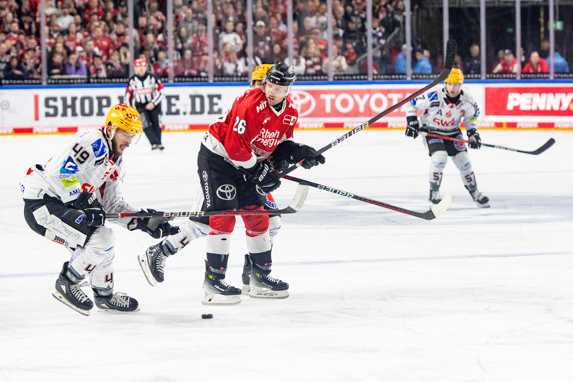 David Mcintyre, Lukas Kälble; DEL Kölner Haie - Fishtown Pinguins Bremerhaven, 30.01.2024
