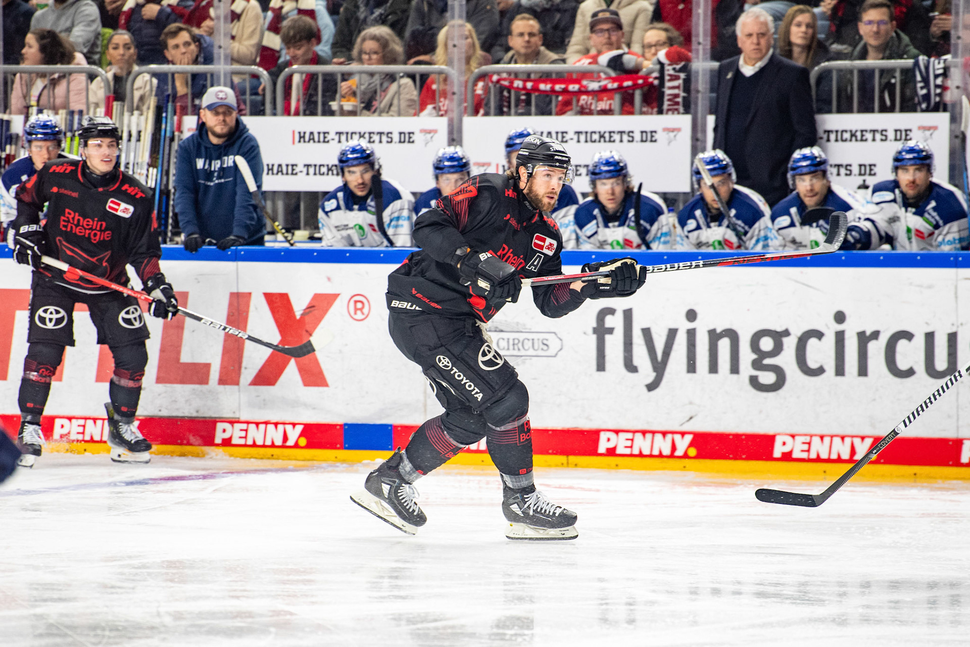 Brady Austin; DEL Kölner Haie - Iserlohn Roosters, 13.02.2024