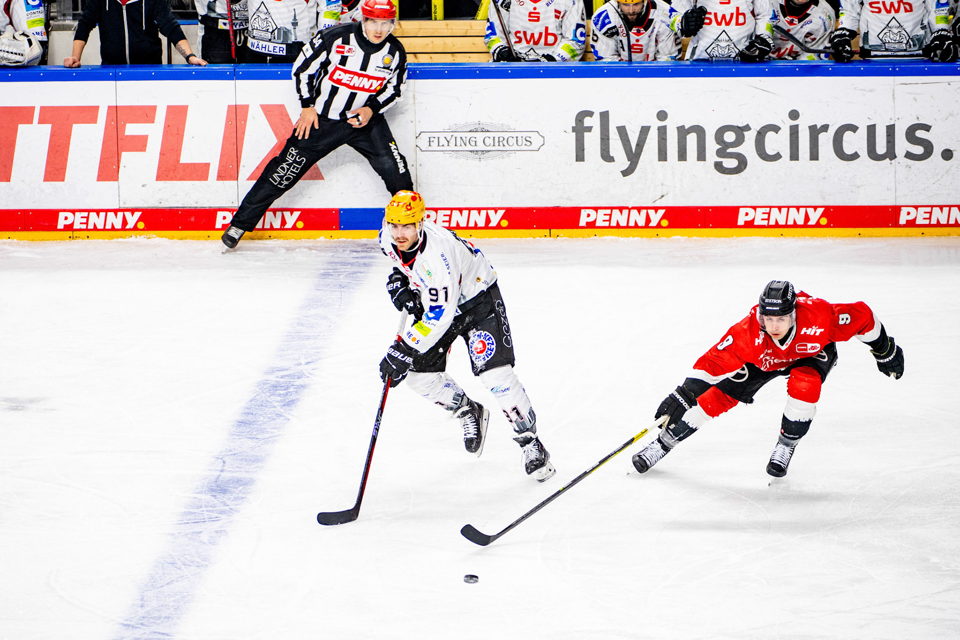 Miha Verlic im Zweikampf mit Maximilian Kammerer; DEL Kölner Haie - Fishtown Pinguins Bremerhaven, 30.01.2024
