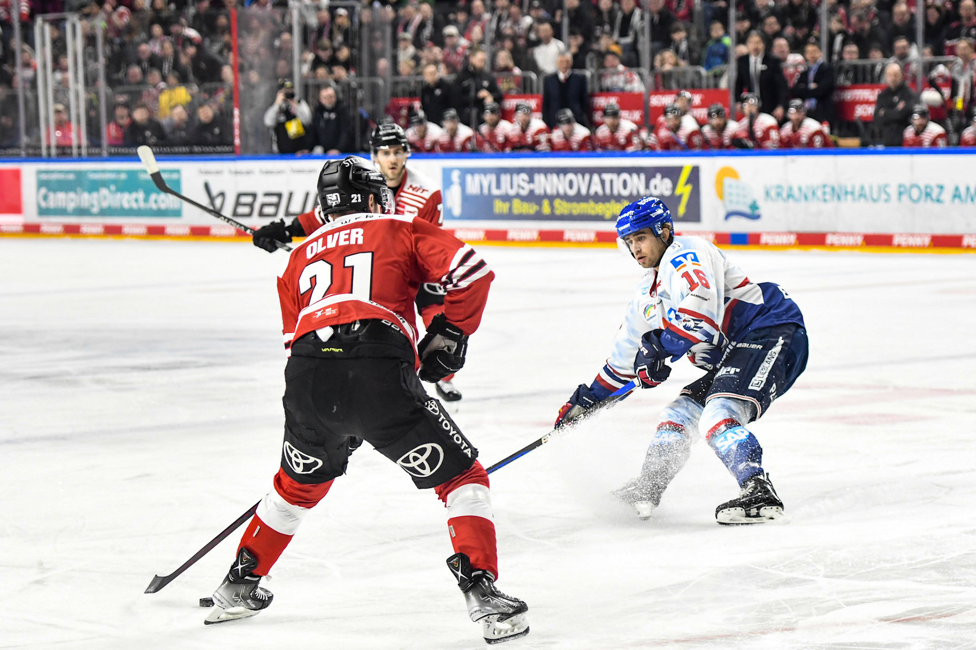 Mark Olver; DEL Kölner Haie - Adler Mannheim, 17.03.2023