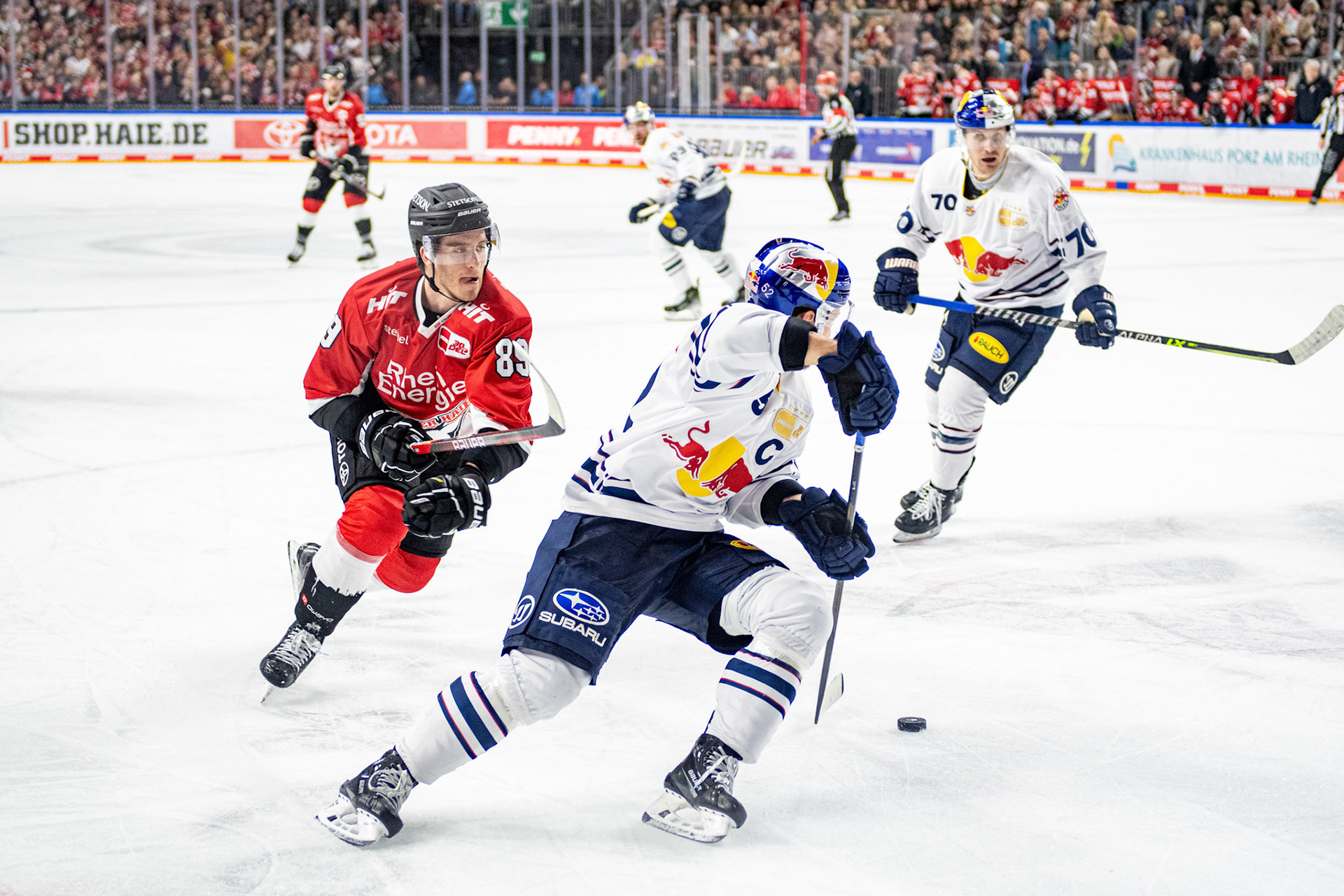 Gregor Macleod; DEL Kölner Haie - EHC Red Bull München, 27.10.2023