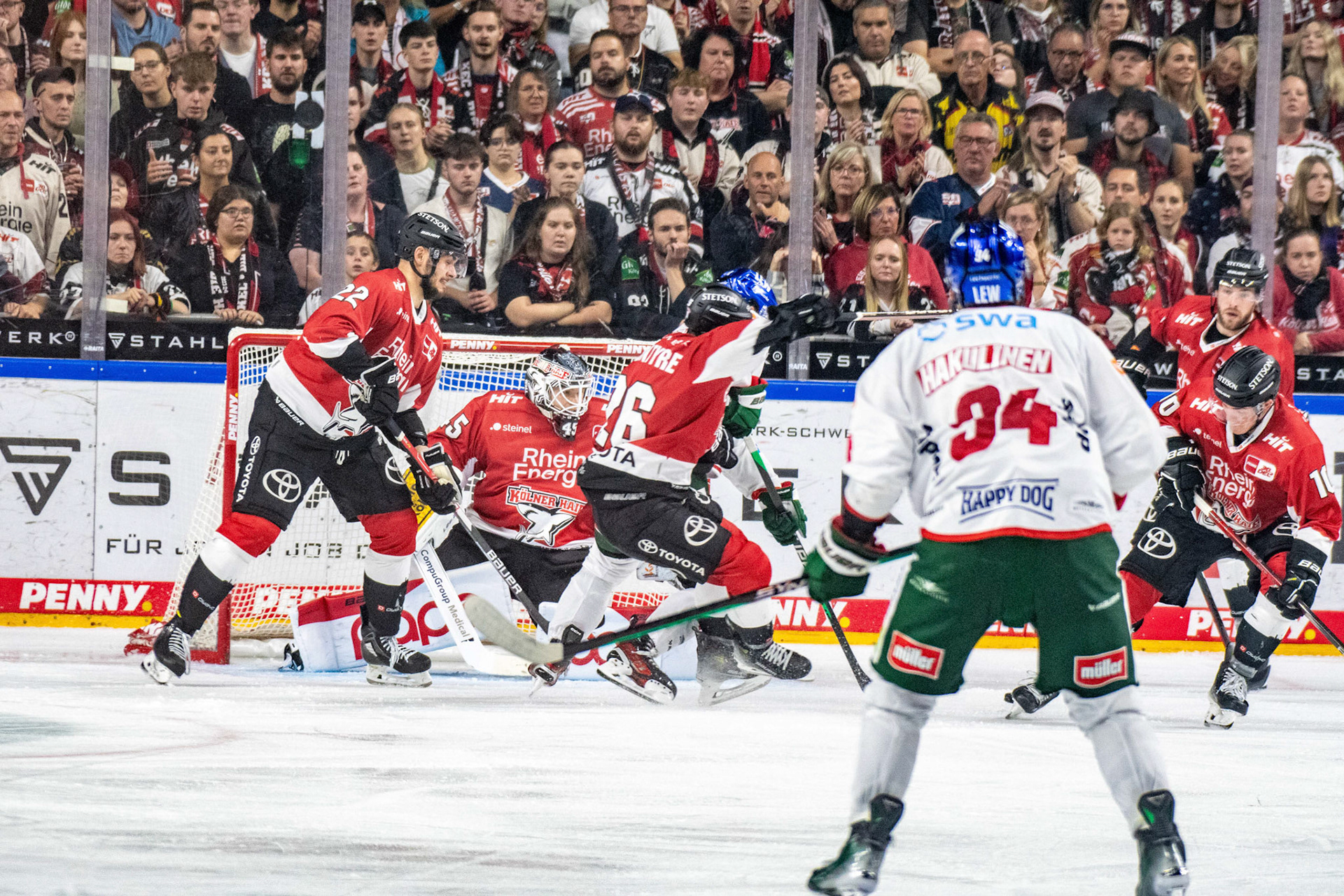 Koelner Haie; DEL Kölner Haie - Augsburger Panther, 03.10.2023