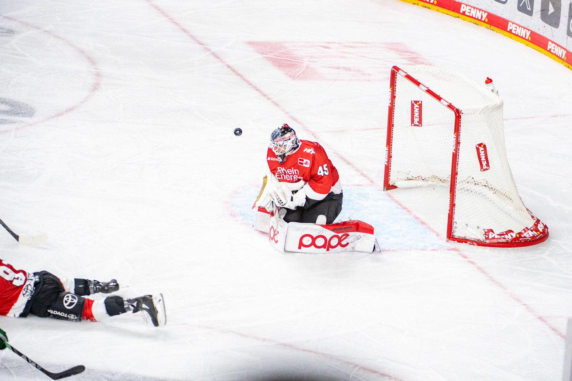 Tobias Ancicka; DEL Kölner Haie - Augsburger Panther, 19.11.2023