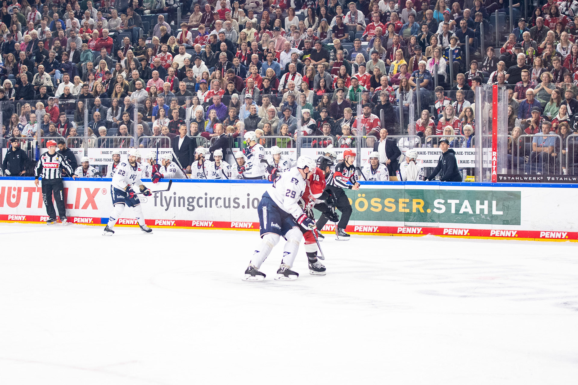Denis Reul; DEL Kölner Haie - Adler Mannheim, 30.09.2023