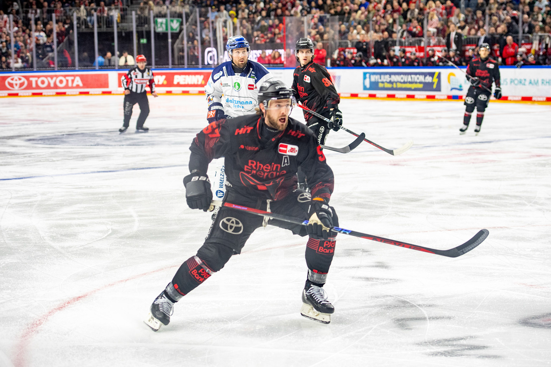 Brady Austin, Gregor Macleod; DEL Kölner Haie - Iserlohn Roosters, 13.02.2024