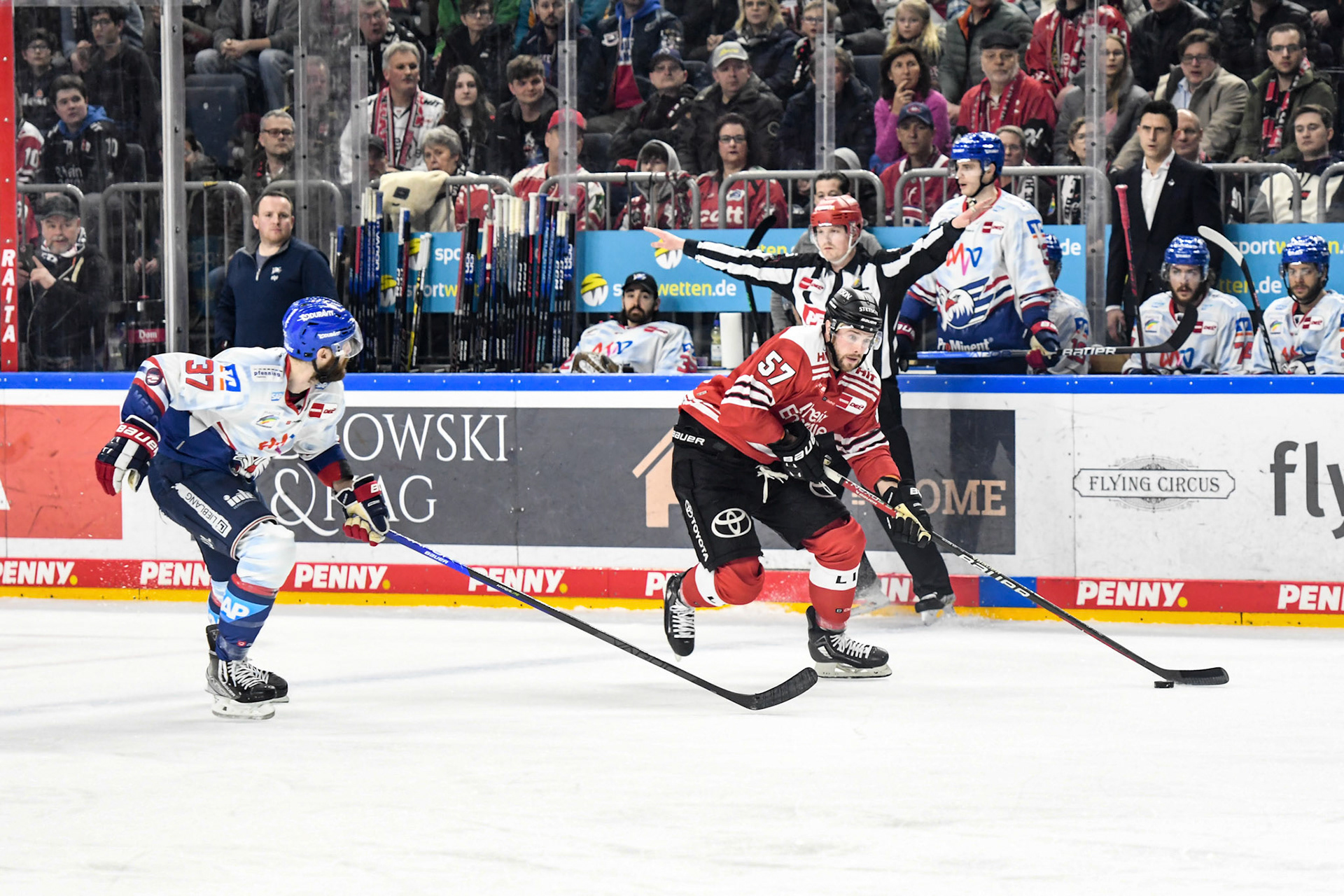 Brady Austin; DEL Kölner Haie - Adler Mannheim, 17.03.2023