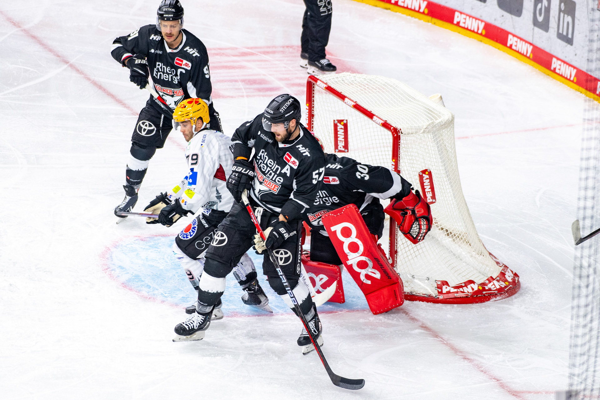 Brady Austin; DEL Kölner Haie - Bremerhaven Fischtown Pinguins, 01.11.2023