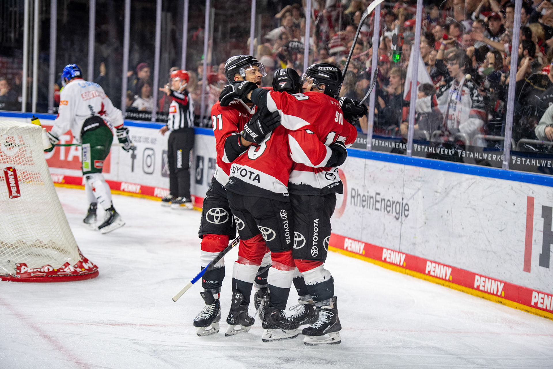 Koelner Haie beim Torjubel; DEL Kölner Haie - Augsburger Panther, 19.11.2023