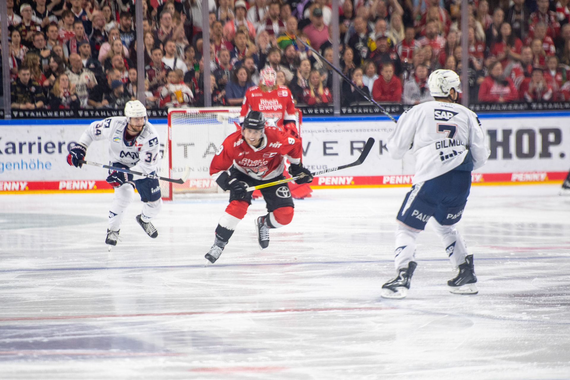 Maximilian Kammerer; DEL Kölner Haie - Adler Mannheim, 30.09.2023