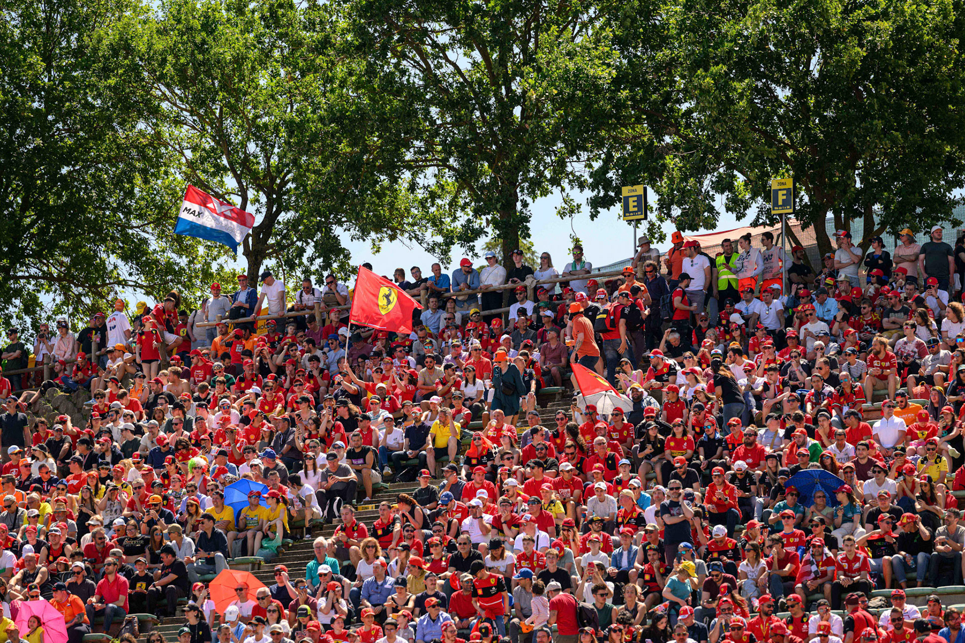 Tifosi; F1 GP Imola / Italien Samstag, 18.05.2024