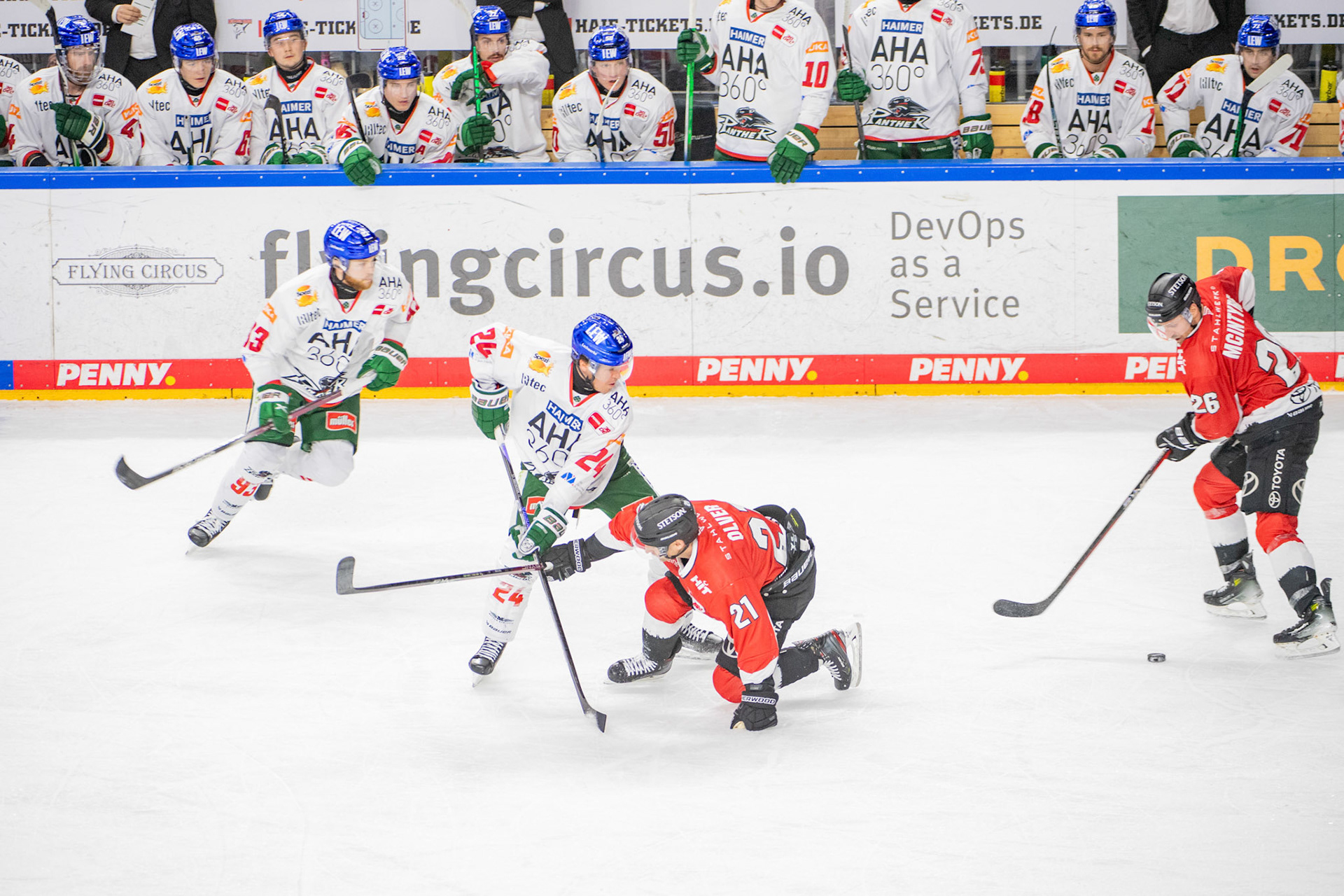Marc Olver; DEL Kölner Haie - Augsburger Panther, 19.11.2023