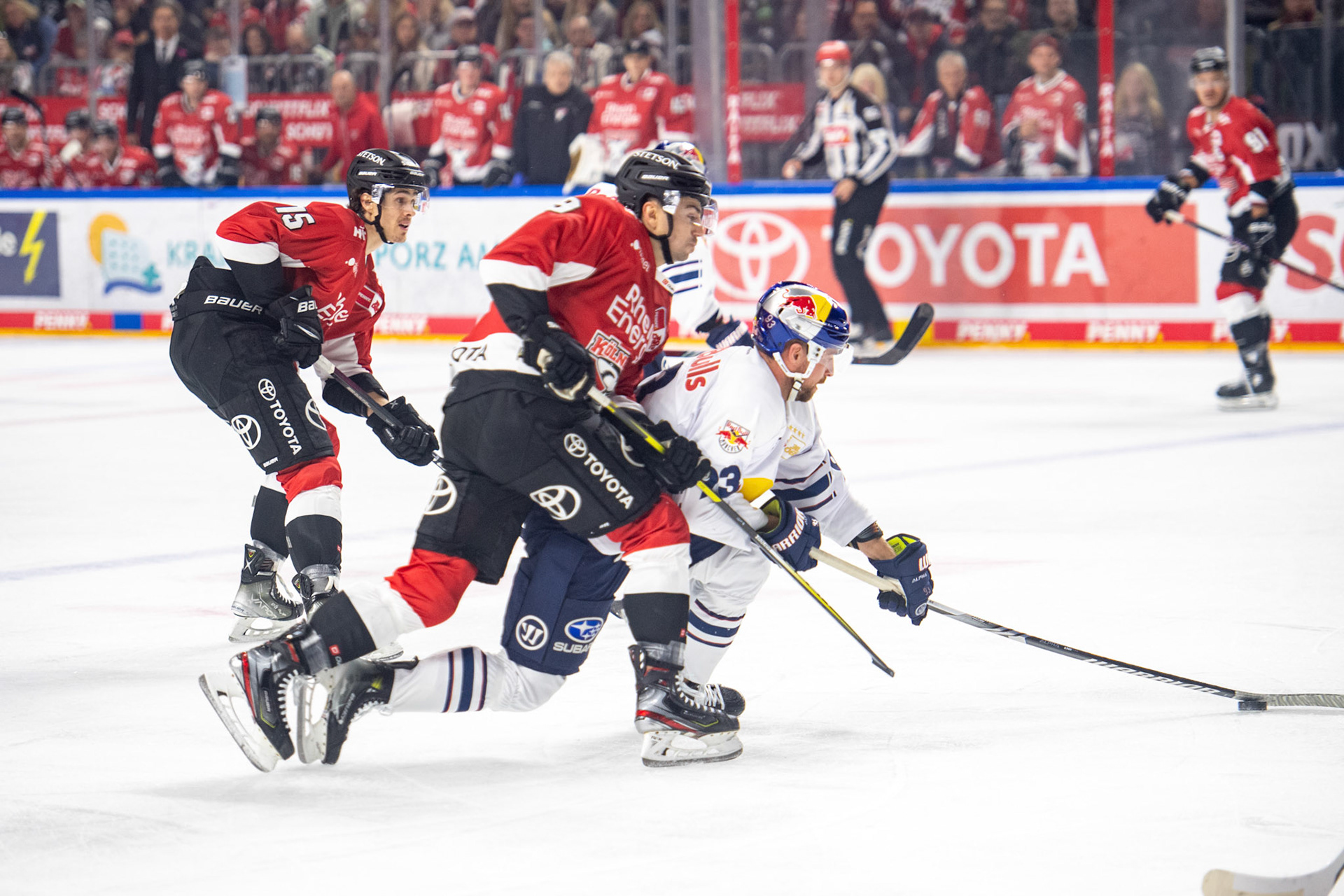 Dominik Bittner; DEL Kölner Haie - EHC Red Bull München, 27.10.2023