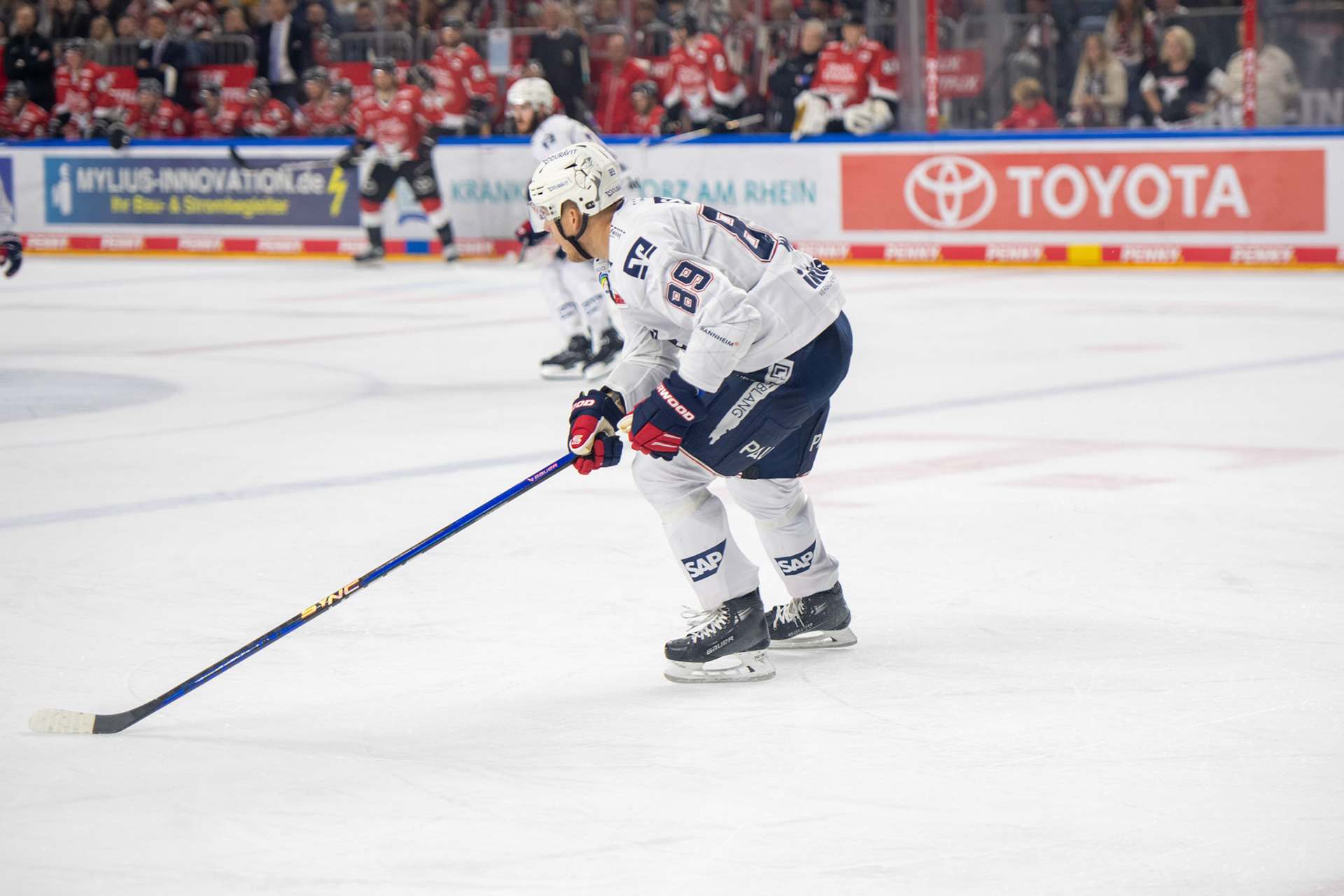 David Wolf; DEL Kölner Haie - Adler Mannheim, 30.09.2023