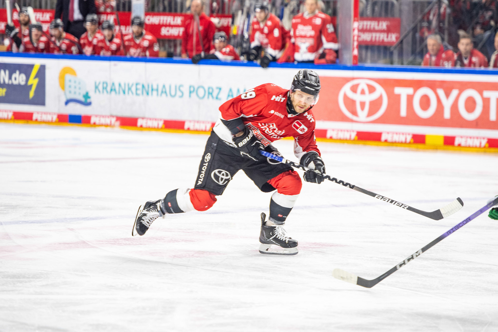 Gregor Macleod; DEL Kölner Haie - Augsburger Panther, 19.11.2023