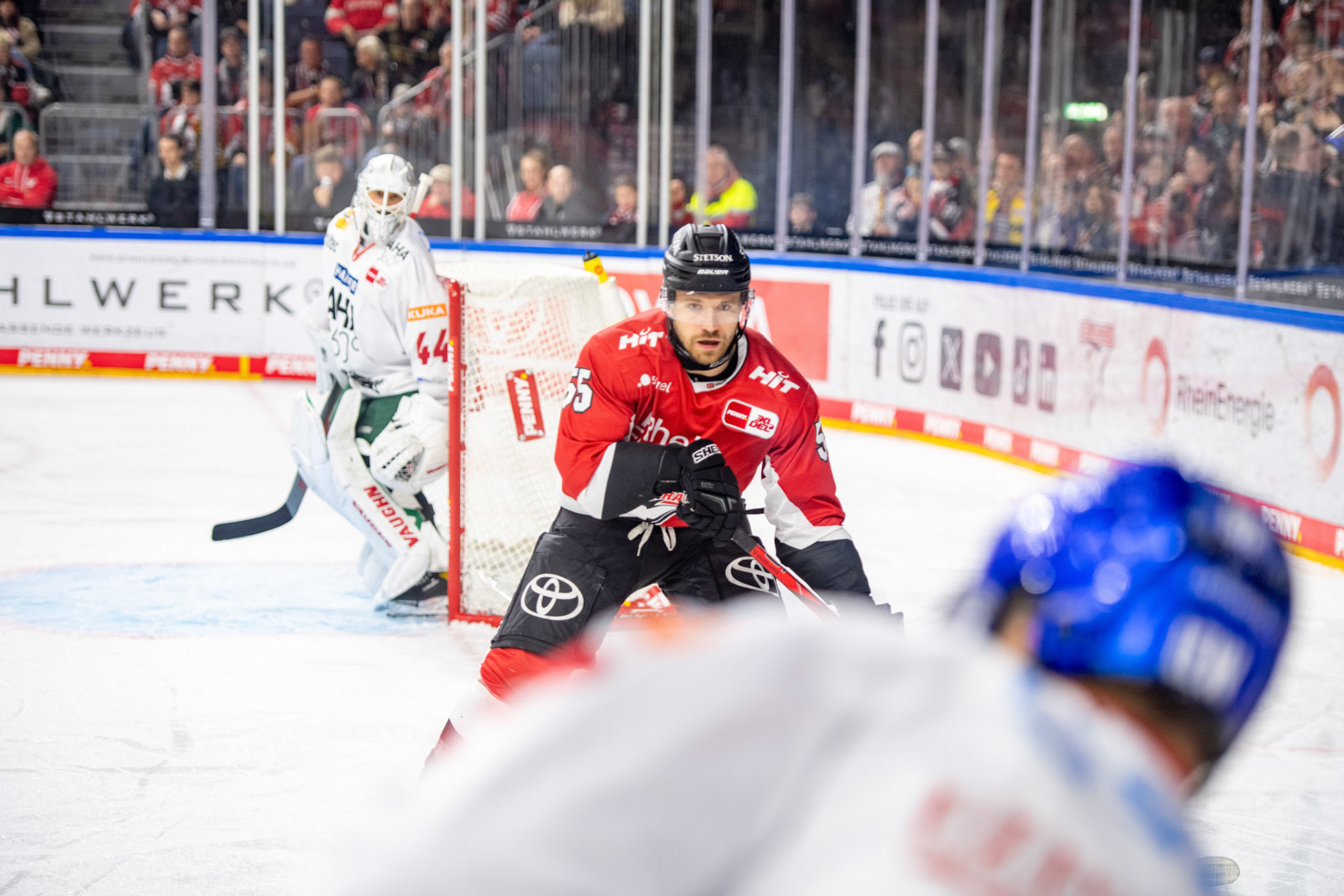 Carter Proft im Zweikampf; DEL Kölner Haie - Augsburger Panther, 19.11.2023