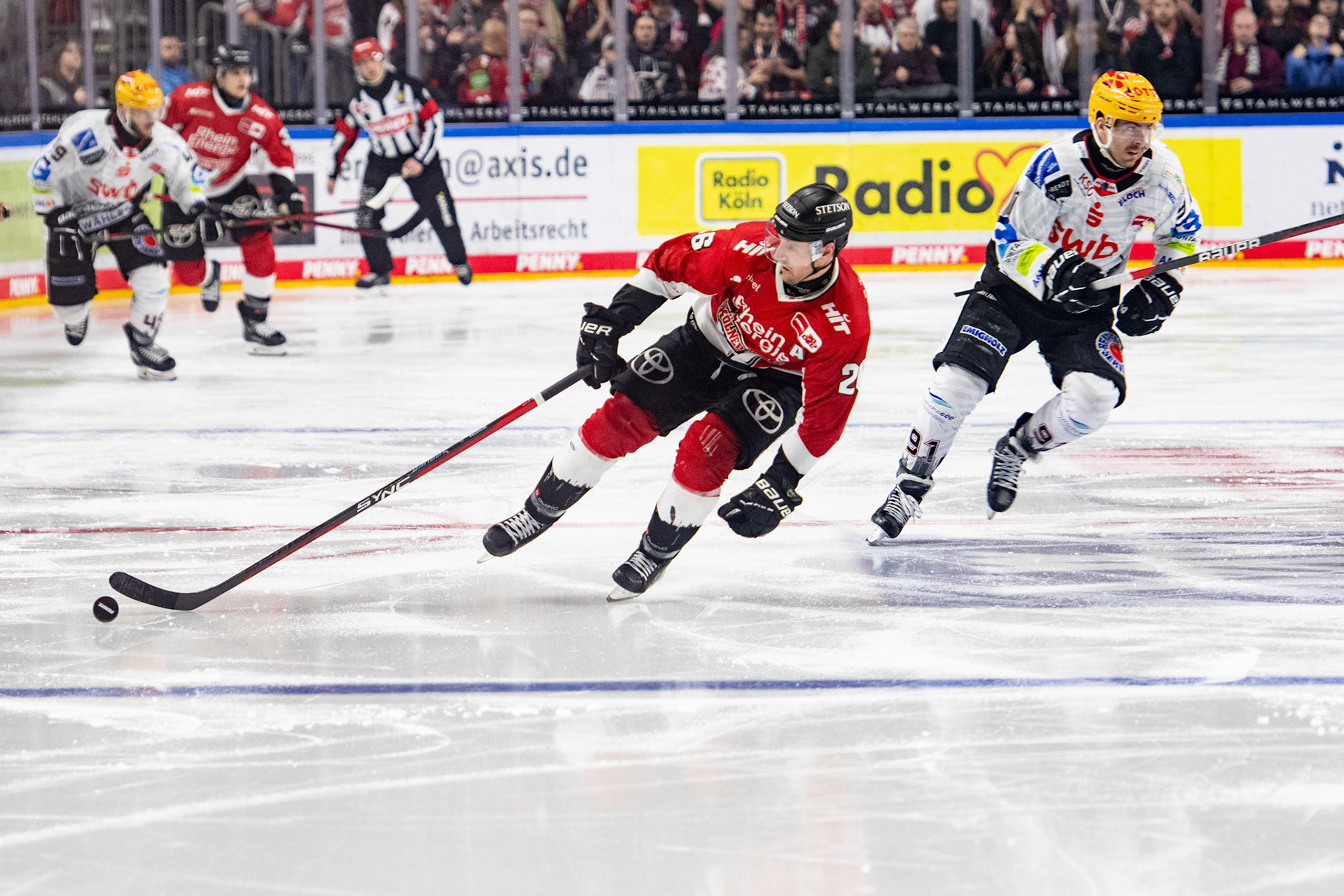 David Mcintyre, Miha Verlic; DEL Kölner Haie - Fishtown Pinguins Bremerhaven, 30.01.2024