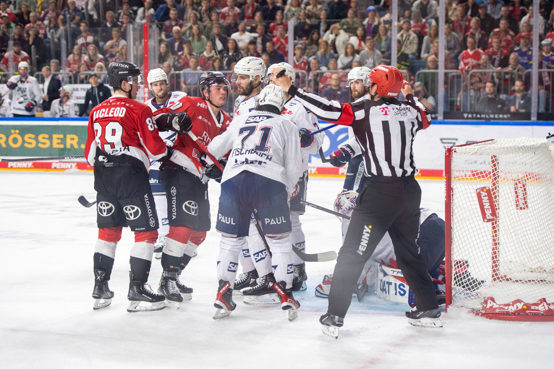 Daniel Fischbuch; DEL Kölner Haie - Adler Mannheim, 30.09.2023