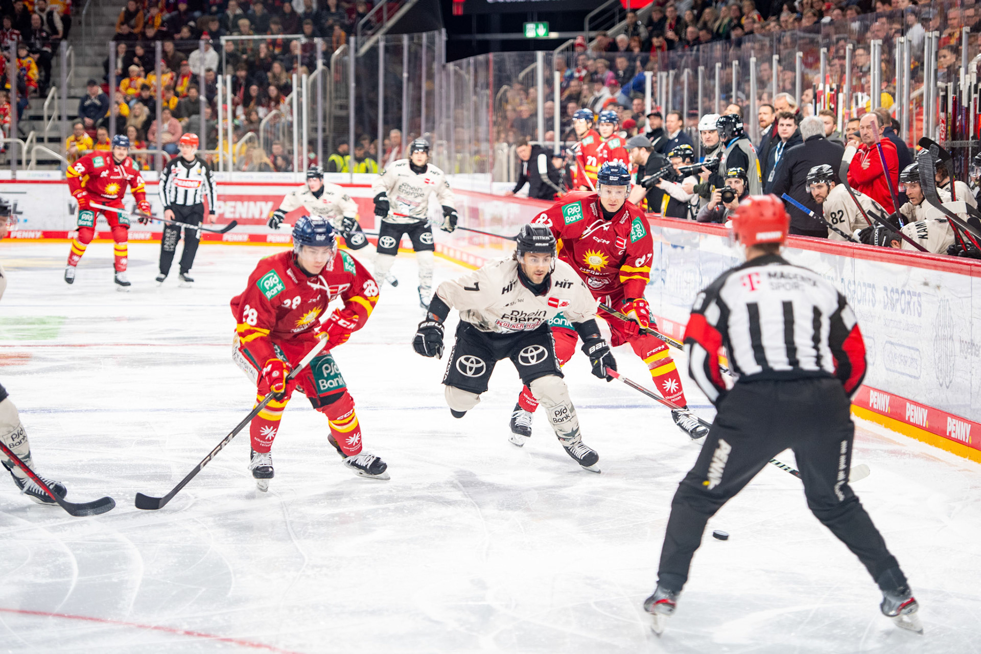 Nicholas Bailen im Zweikampf mit Alexander Ehl und Philip Gogulla; DEL Düsseldorfer EG - Kölner Haie, 25.02.2024