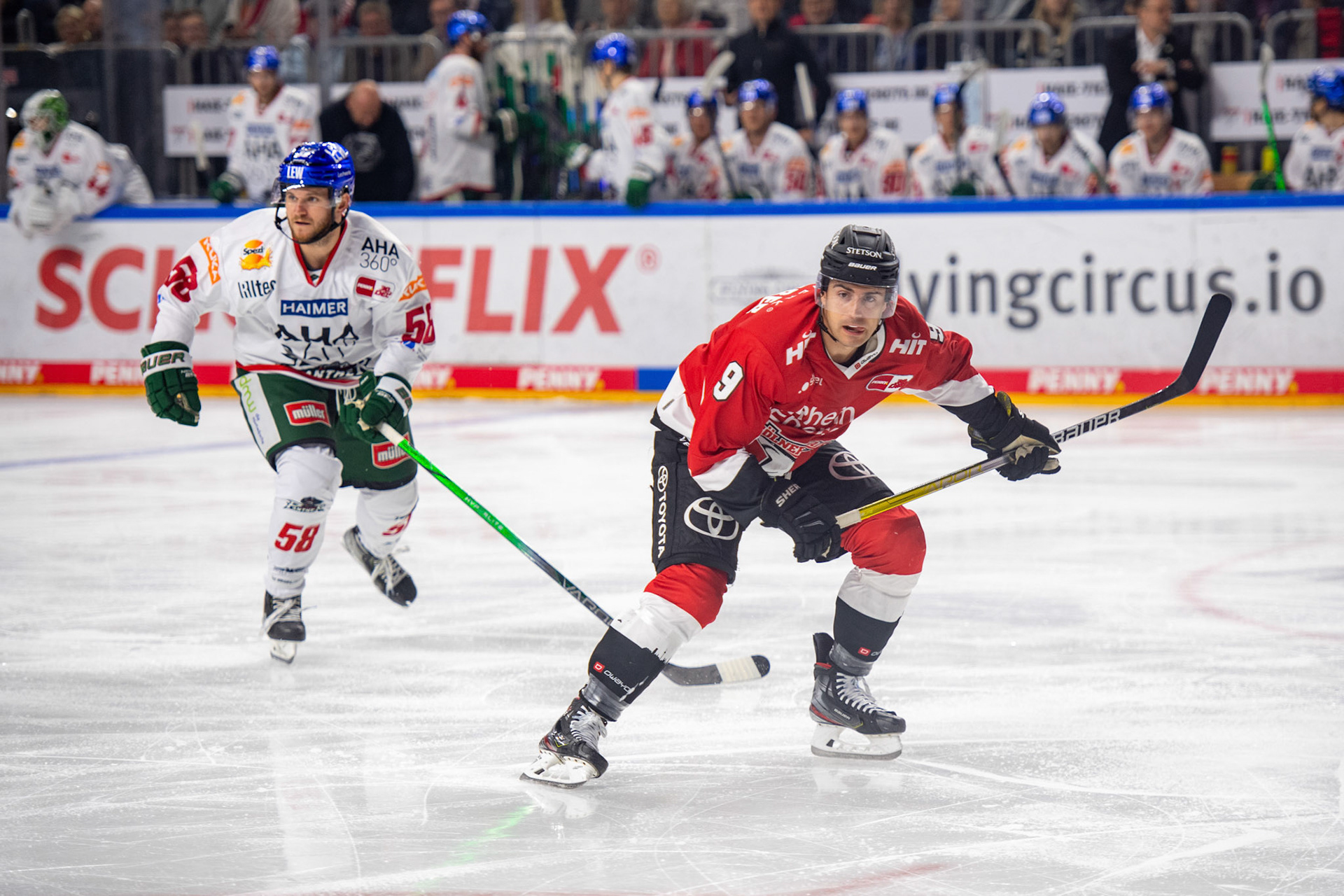 Maximilian Kammerer; DEL Kölner Haie - Augsburger Panther, 03.10.2023
