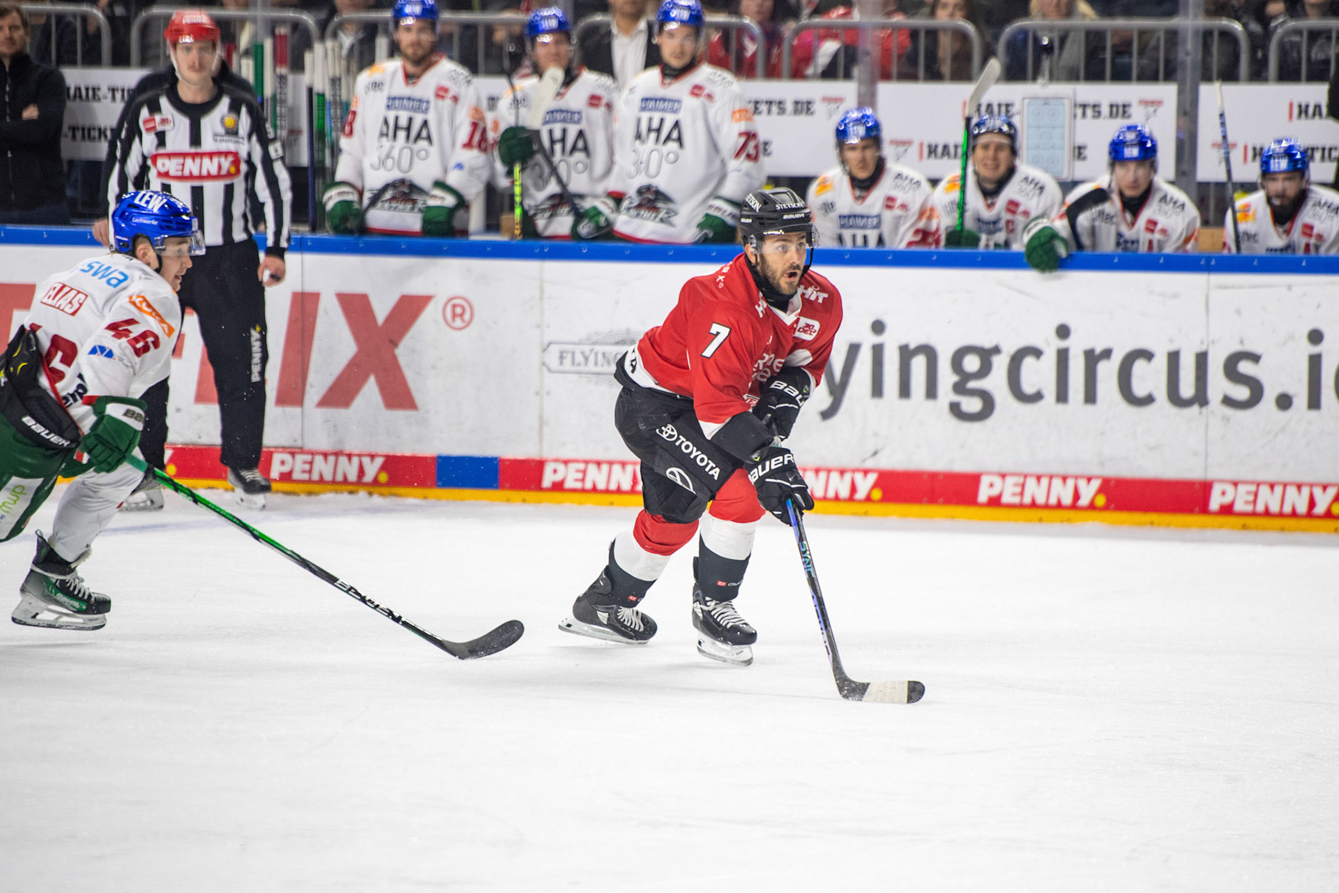 Nicholas Bailen; DEL Kölner Haie - Augsburger Panther, 19.11.2023