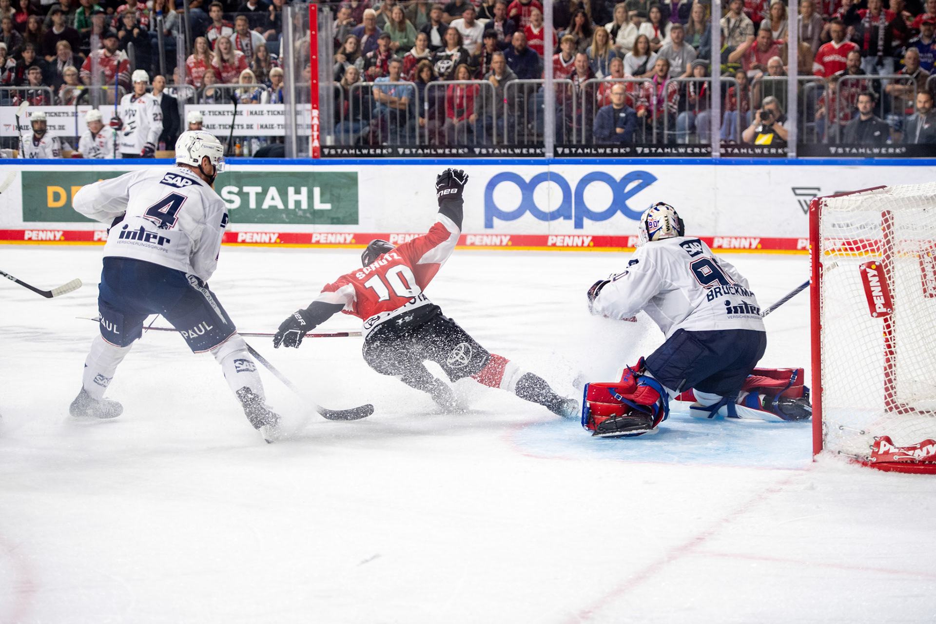 Justin Schuetz; DEL Kölner Haie - Adler Mannheim, 30.09.2023