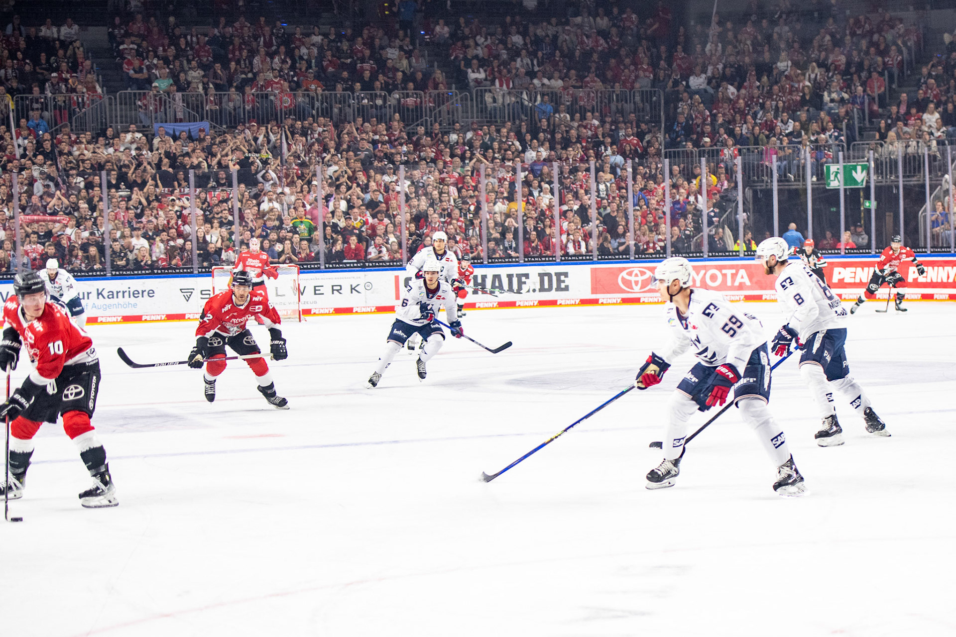 Koelner Haie; DEL Kölner Haie - Adler Mannheim, 30.09.2023