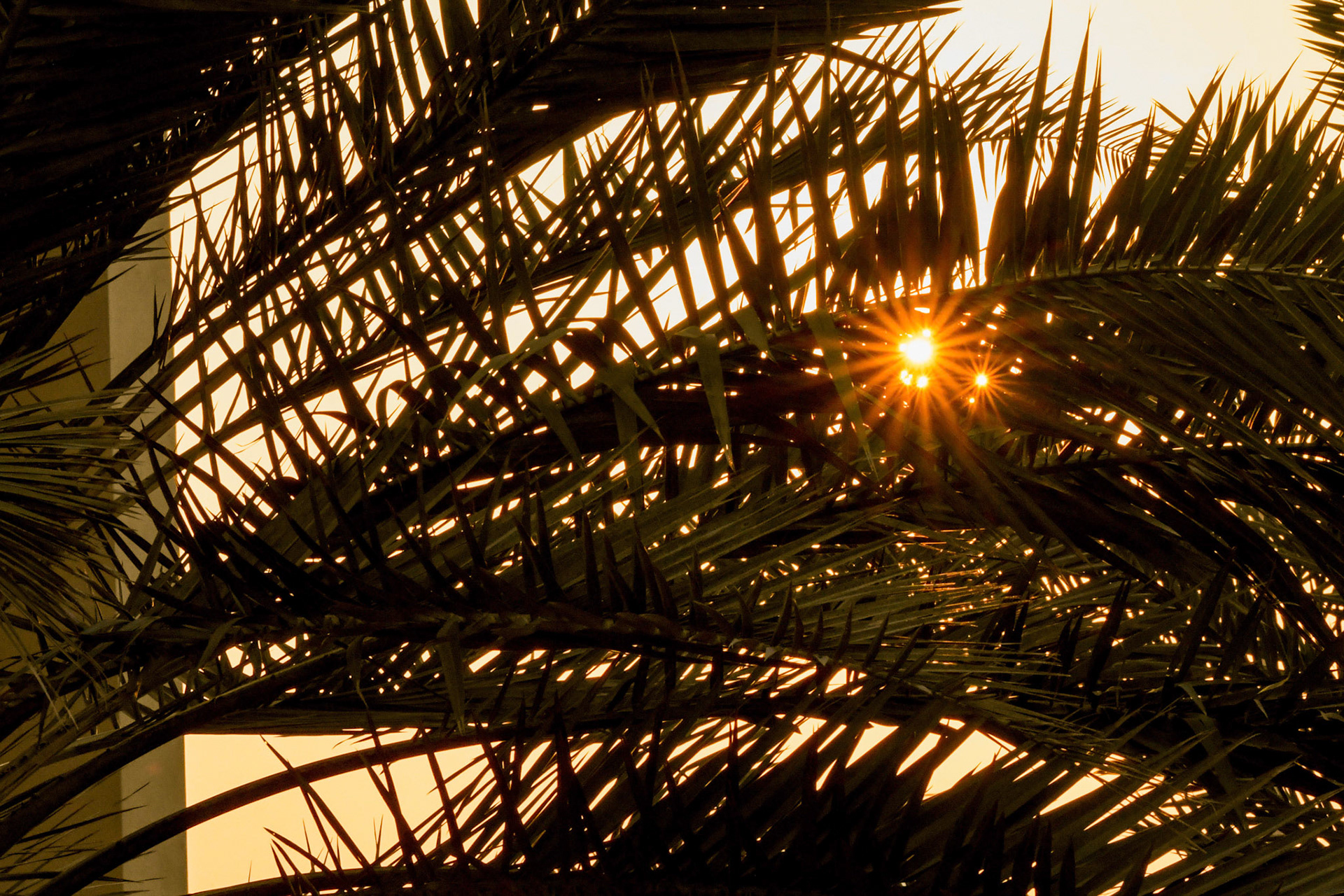 Yas Marina Circuit; Formel 1 GP Abu Dhabi. Freitag 24.11.2023