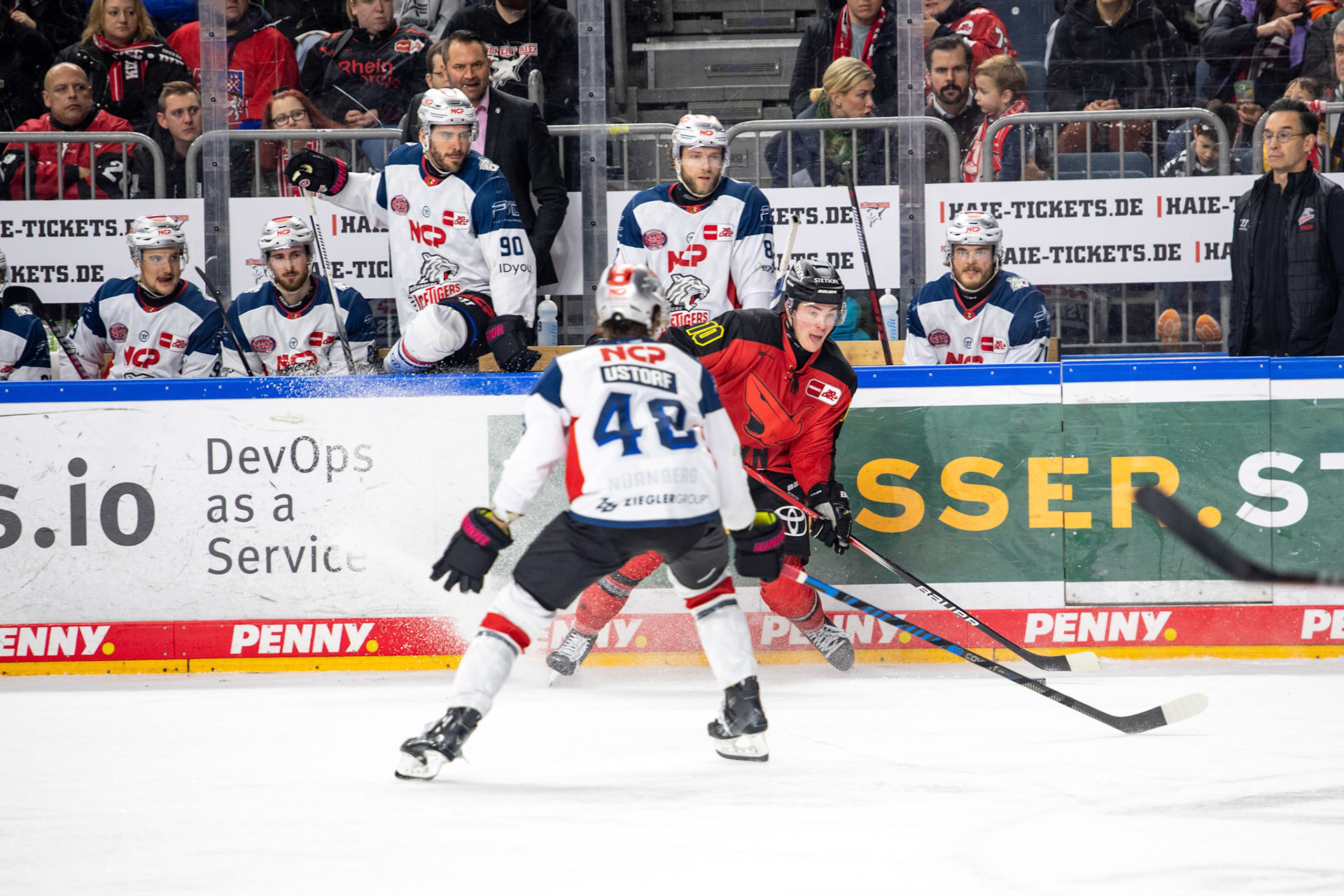 Justin Schuetz; DEL Kölner Haie - Nürnberg Ice Tigers, 17.12.2023