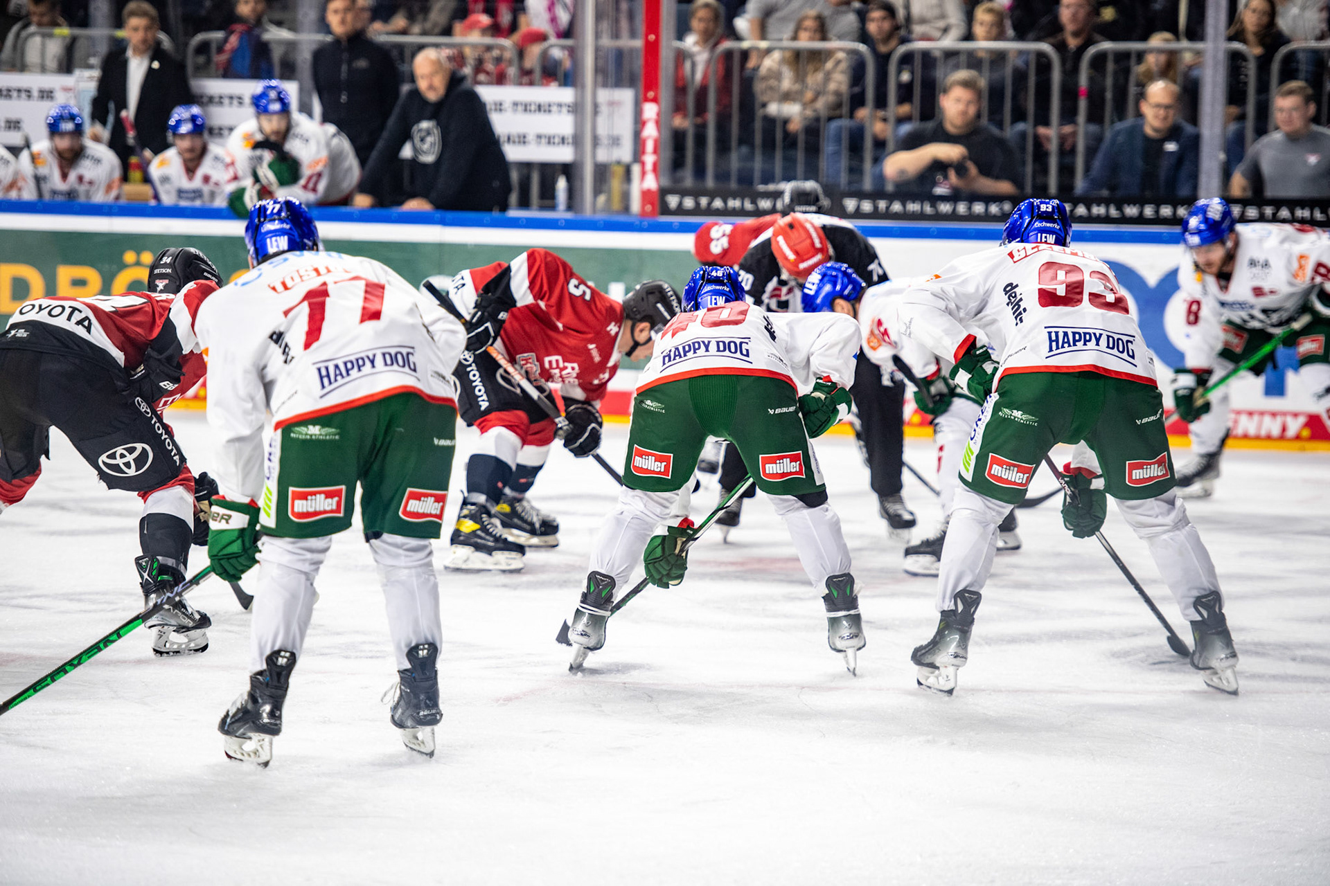Koelner Haie, Augsburger Panther; DEL Kölner Haie - Augsburger Panther, 03.10.2023