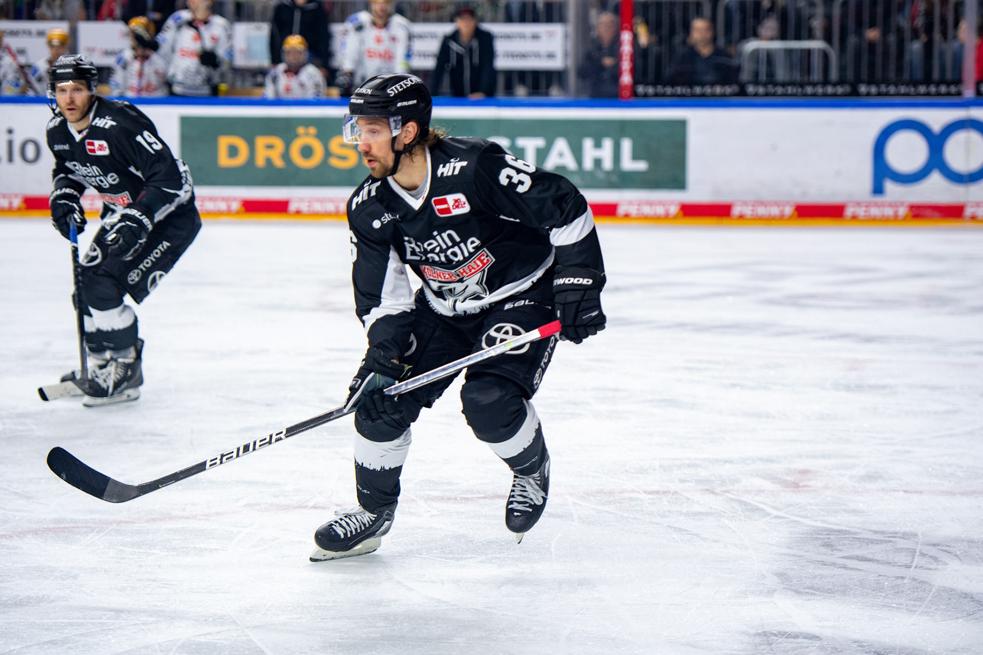 Andreas Thuresson; DEL Kölner Haie - Bremerhaven Fischtown Pinguins, 01.11.2023