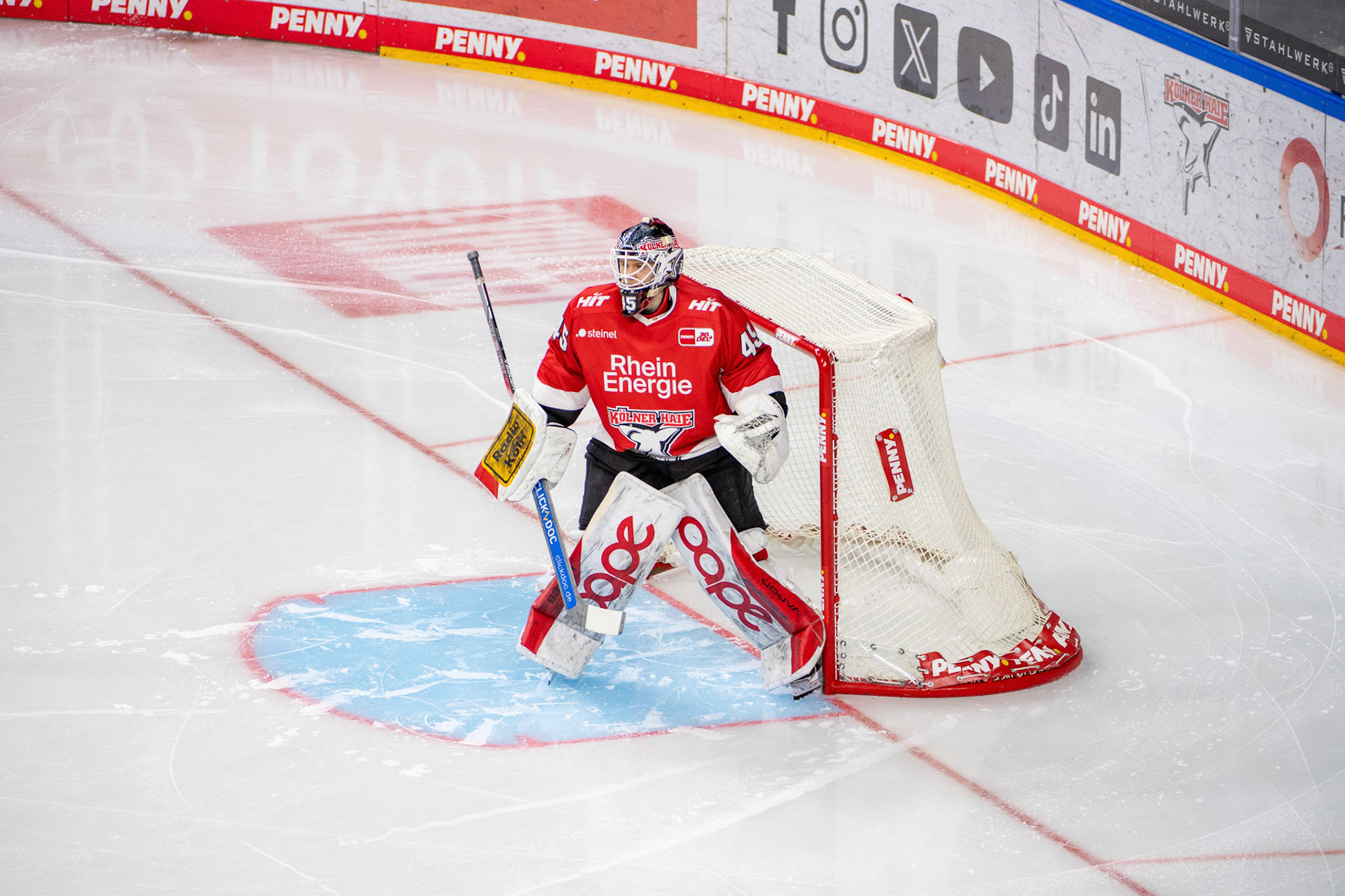 Tobias Ancicka; DEL Kölner Haie - Fishtown Pinguins Bremerhaven, 30.01.2024