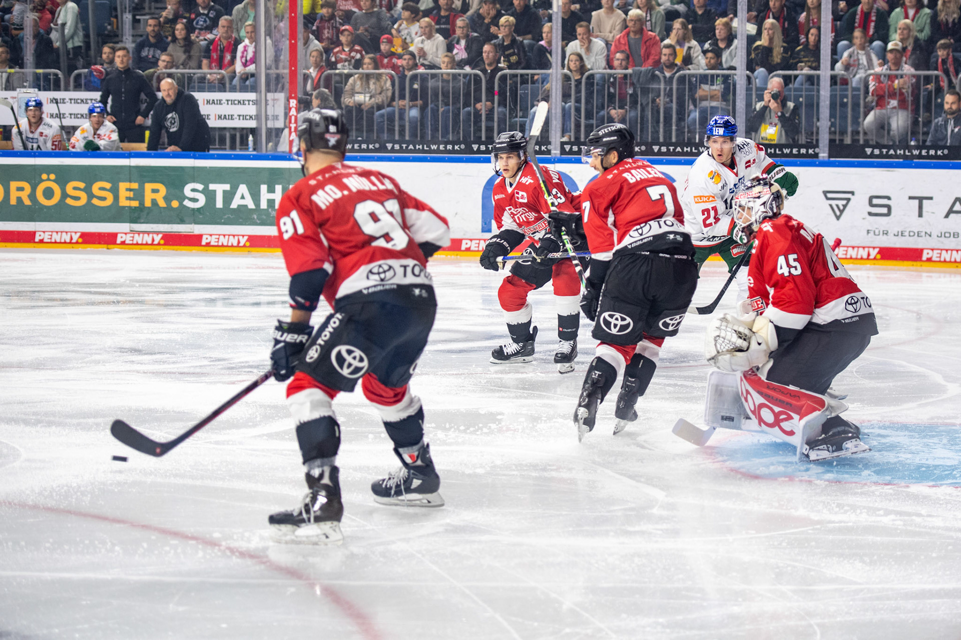 Koelner Haie; DEL Kölner Haie - Augsburger Panther, 03.10.2023